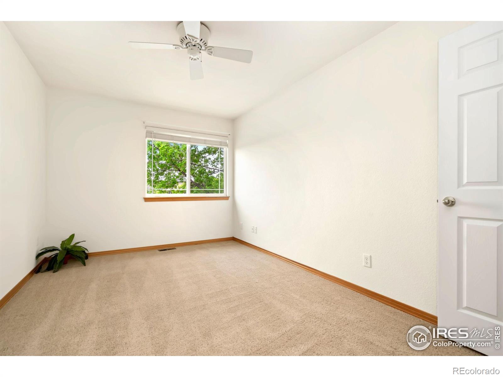 MLS Image #30 for 4603  dusty sage court,fort collins, Colorado