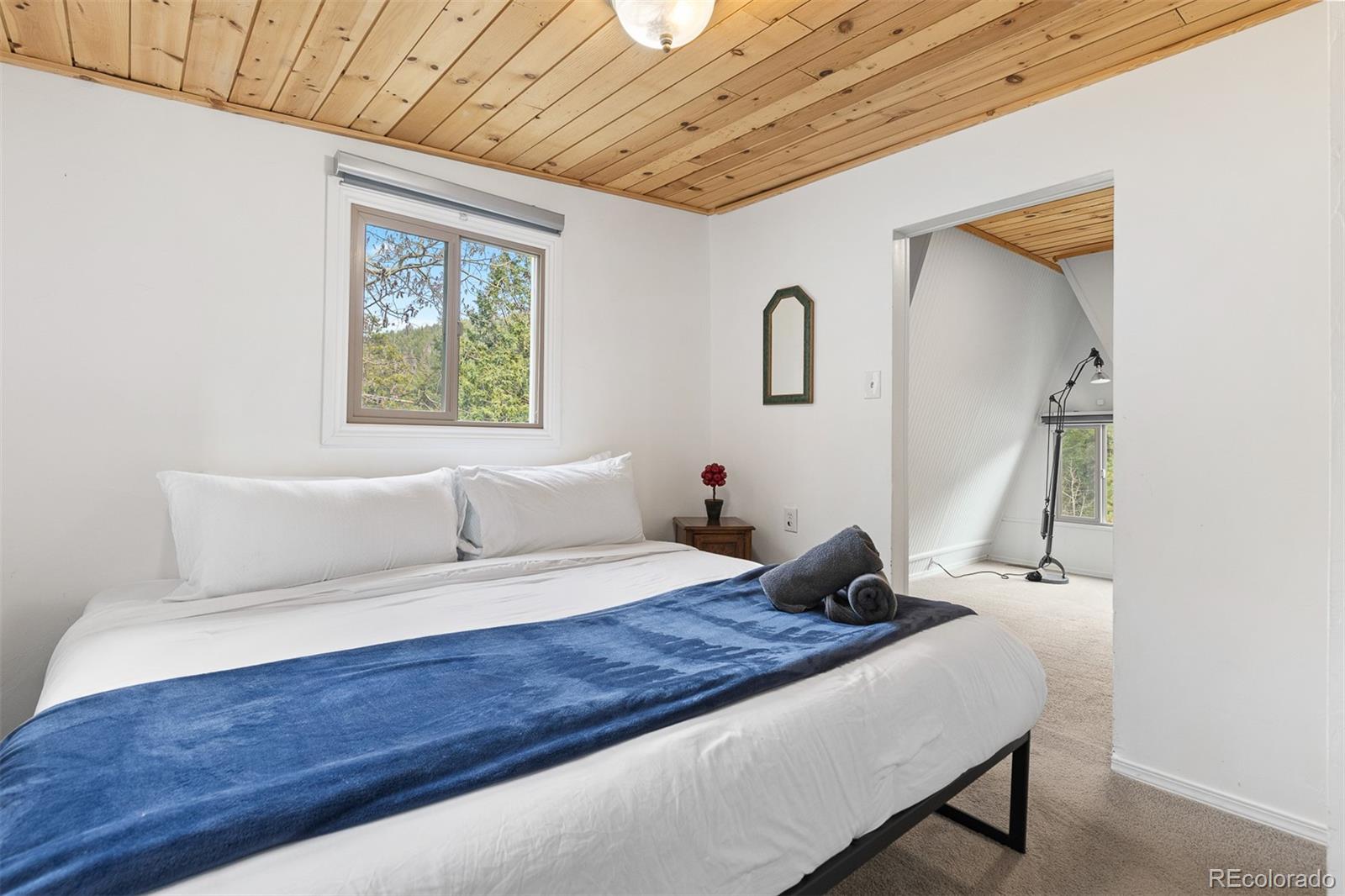 MLS Image #19 for 1264  beaver brook canyon road,evergreen, Colorado