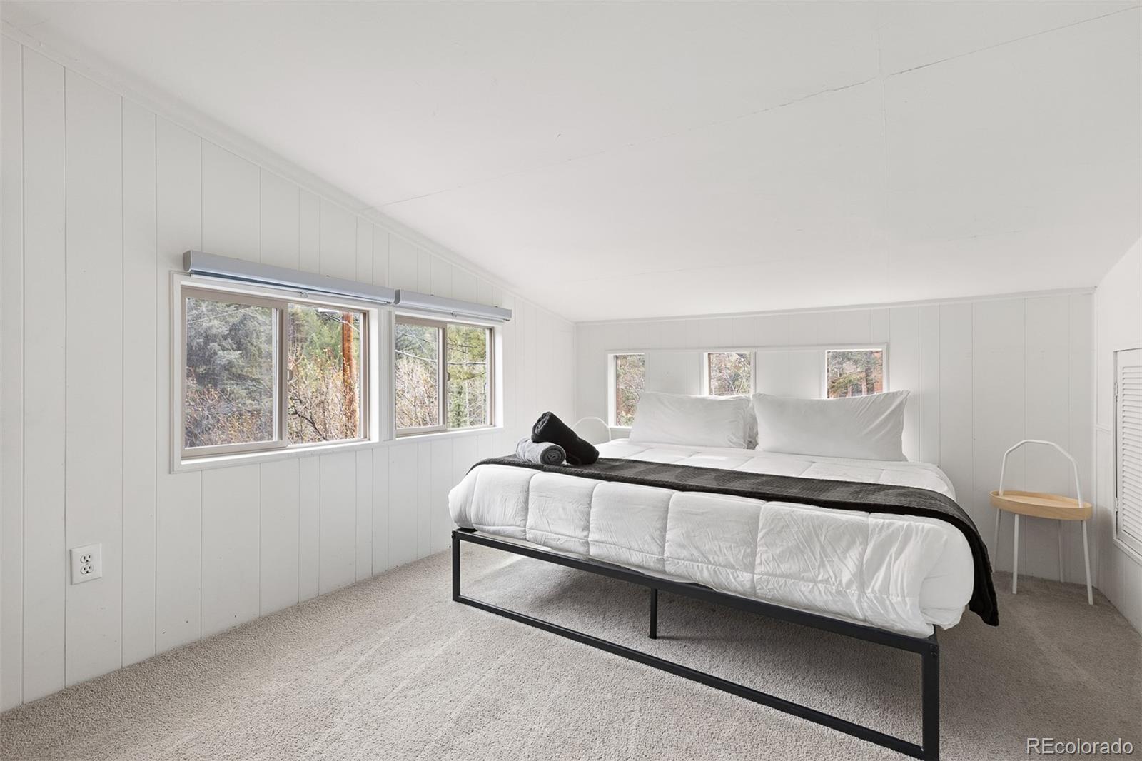 MLS Image #23 for 1264  beaver brook canyon road,evergreen, Colorado