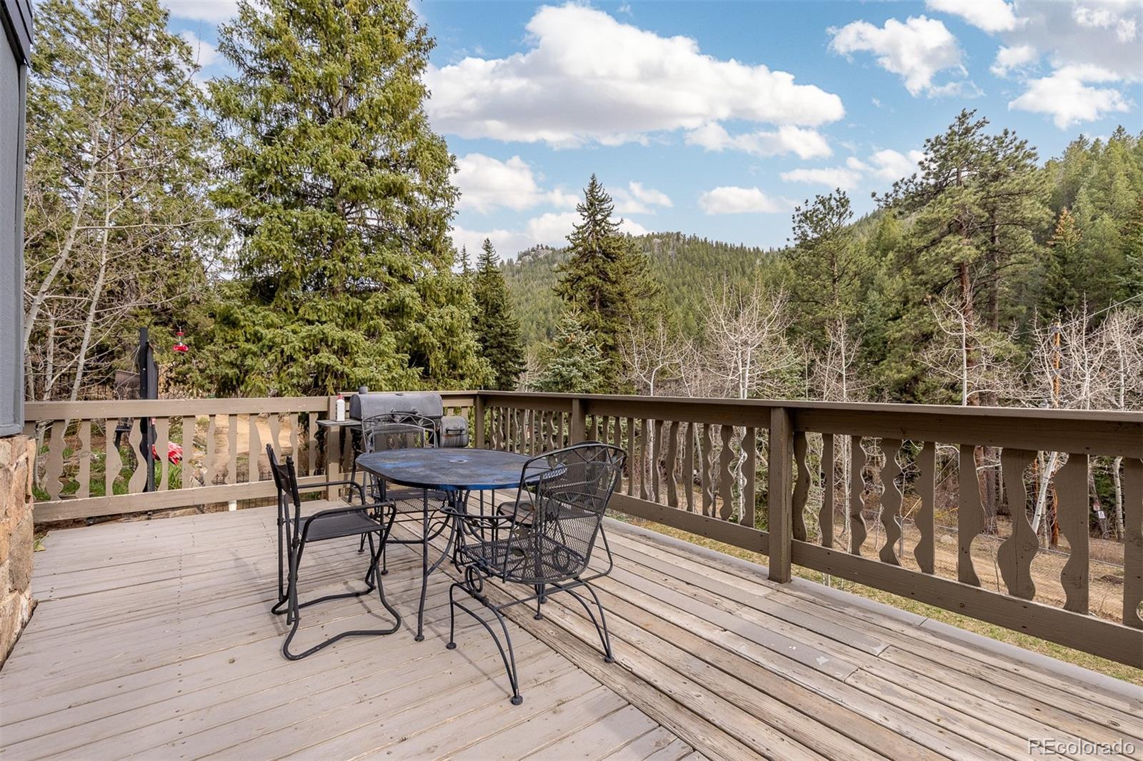 MLS Image #27 for 1264  beaver brook canyon road,evergreen, Colorado
