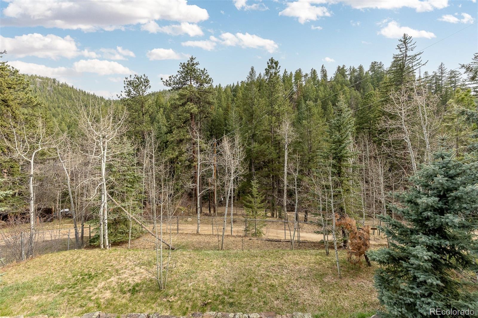 MLS Image #28 for 1264  beaver brook canyon road,evergreen, Colorado