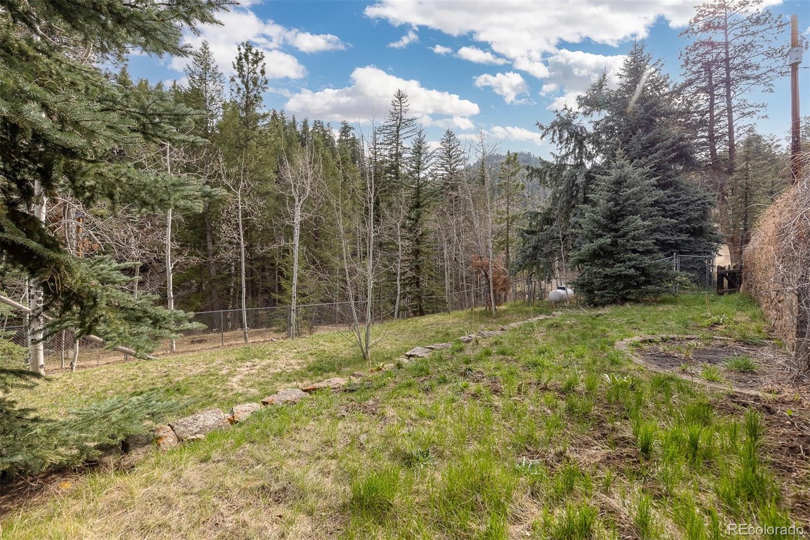 MLS Image #34 for 1264  beaver brook canyon road,evergreen, Colorado