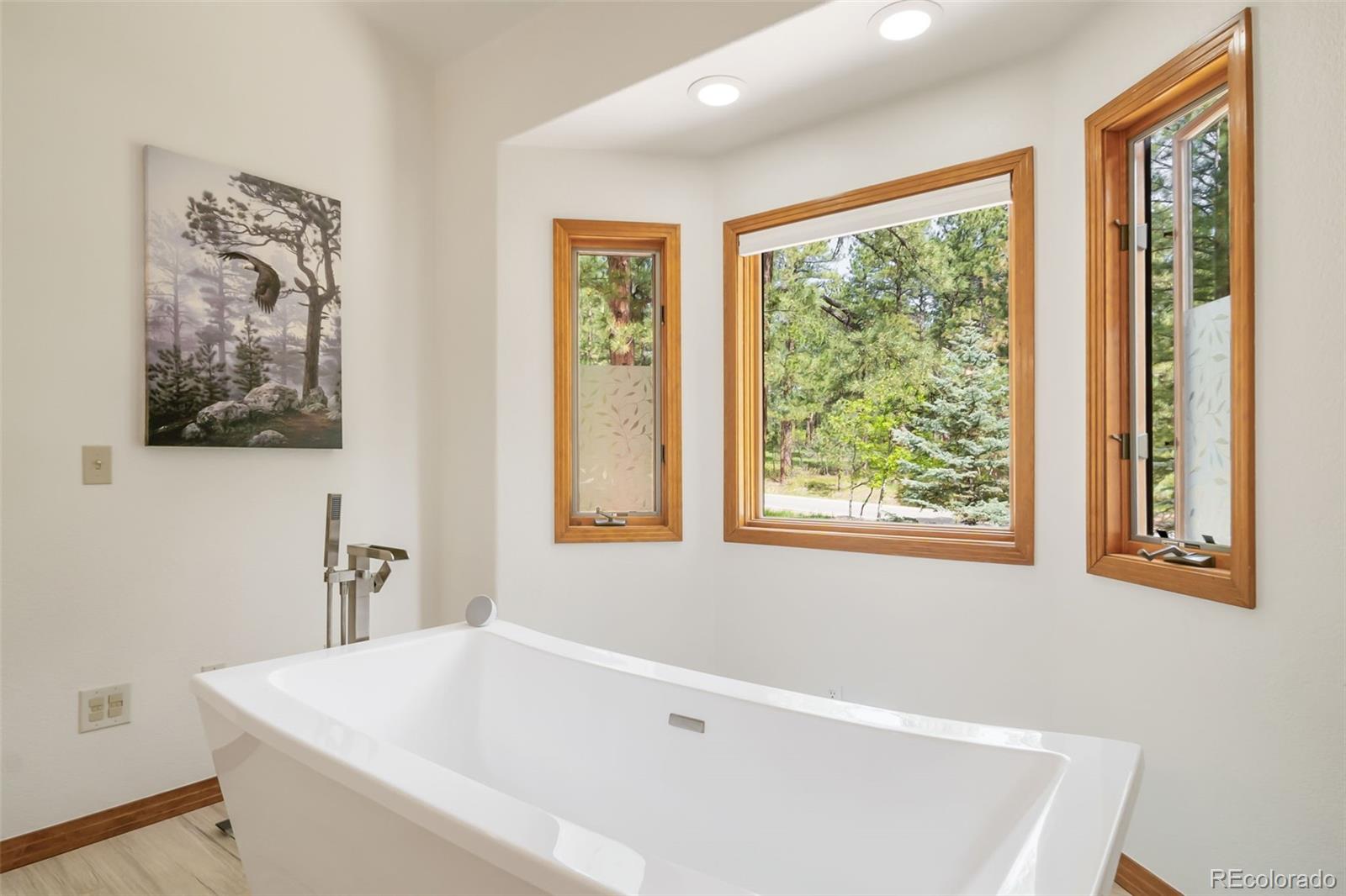 MLS Image #18 for 5846 s pike drive,larkspur, Colorado
