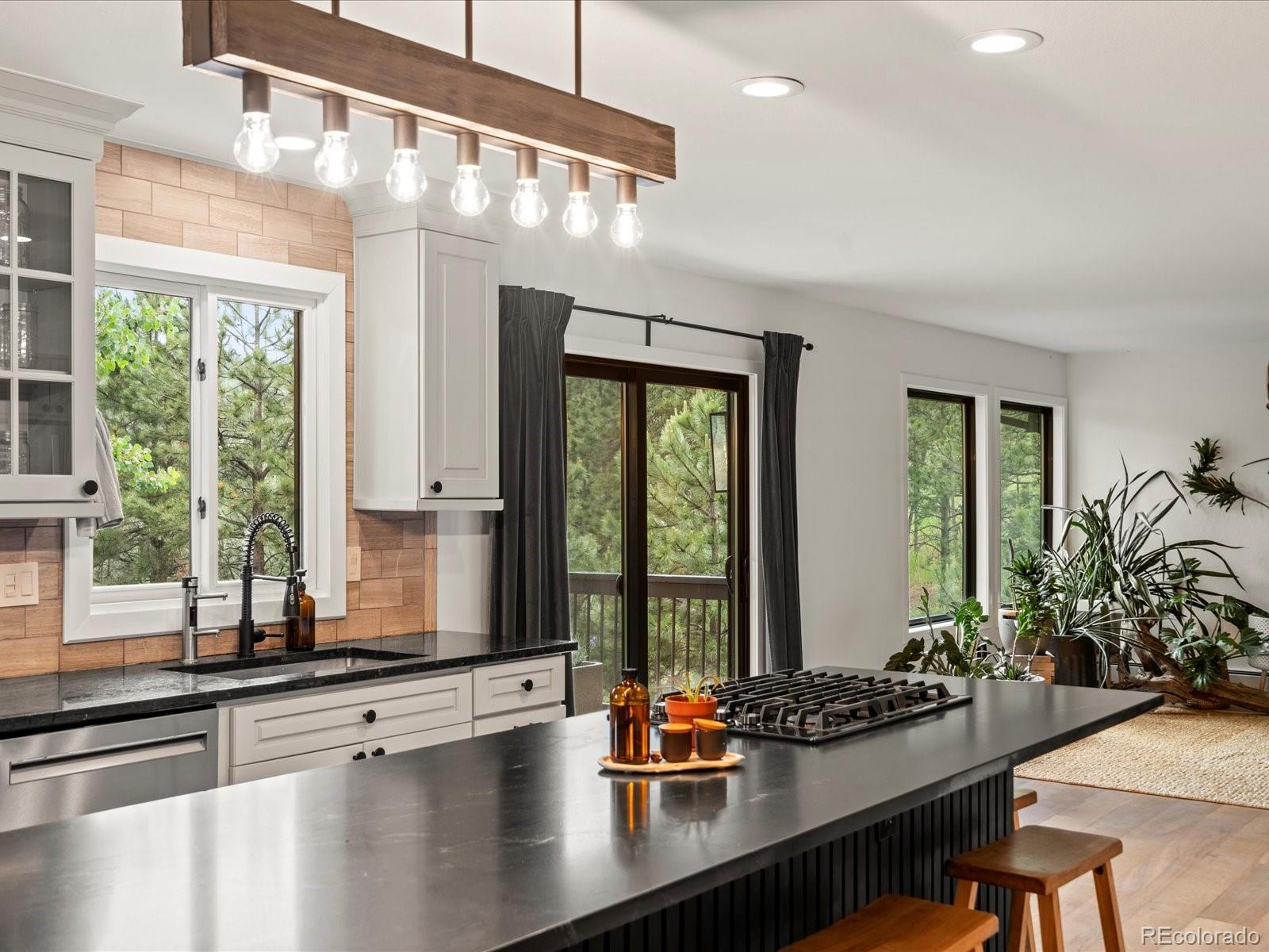 MLS Image #33 for 28833  western drive,evergreen, Colorado