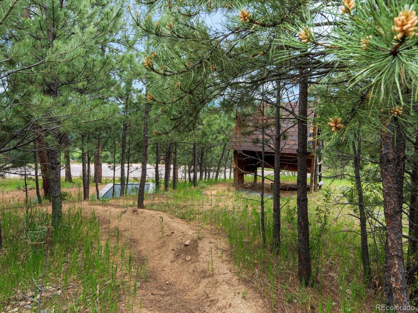 MLS Image #43 for 28833  western drive,evergreen, Colorado