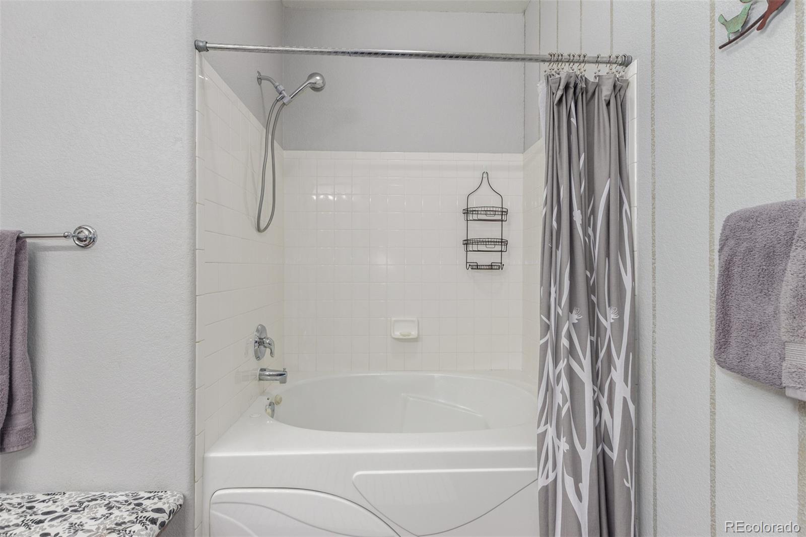 MLS Image #21 for 457  black feather loop,castle rock, Colorado