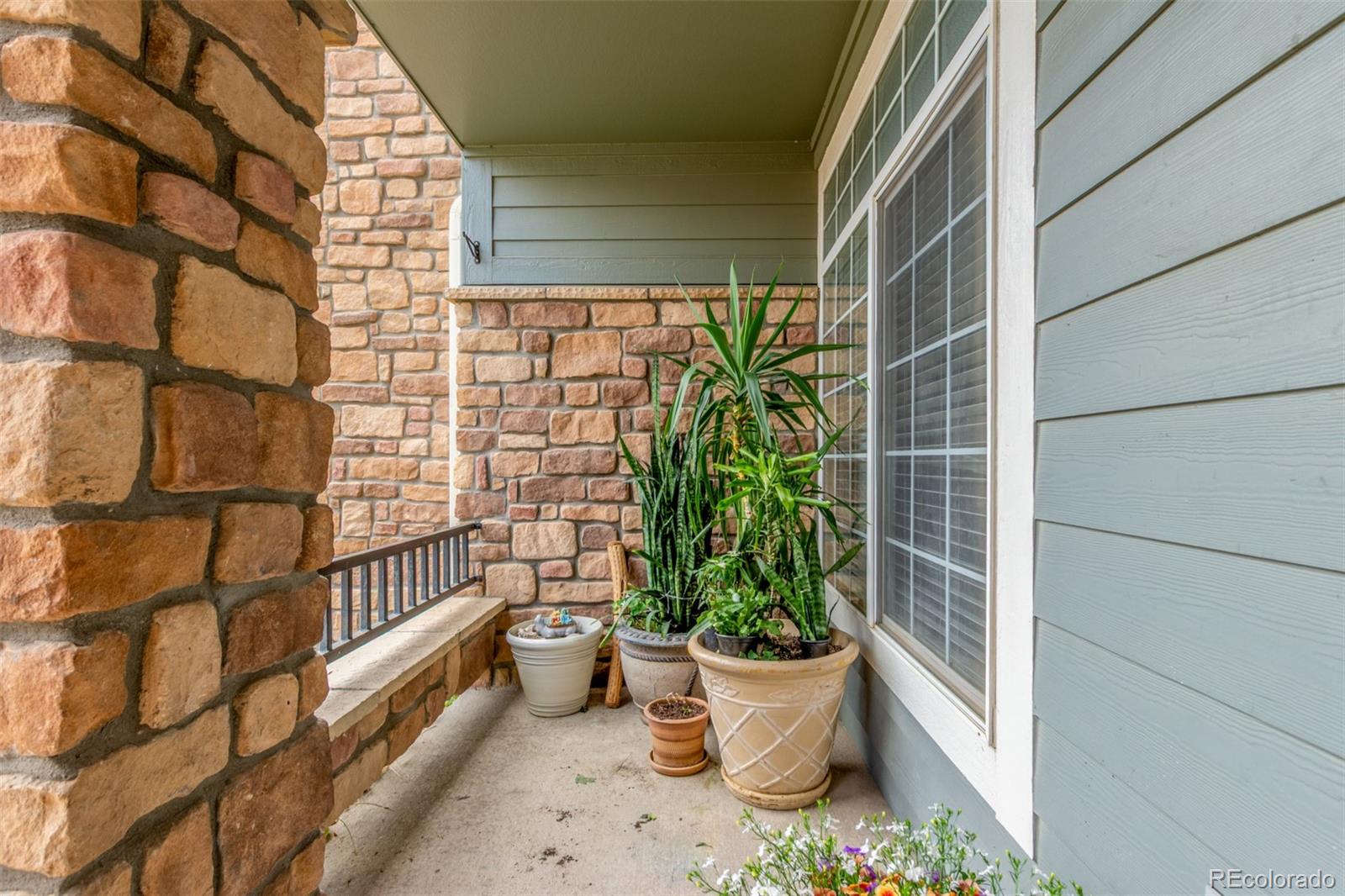 MLS Image #3 for 457  black feather loop,castle rock, Colorado