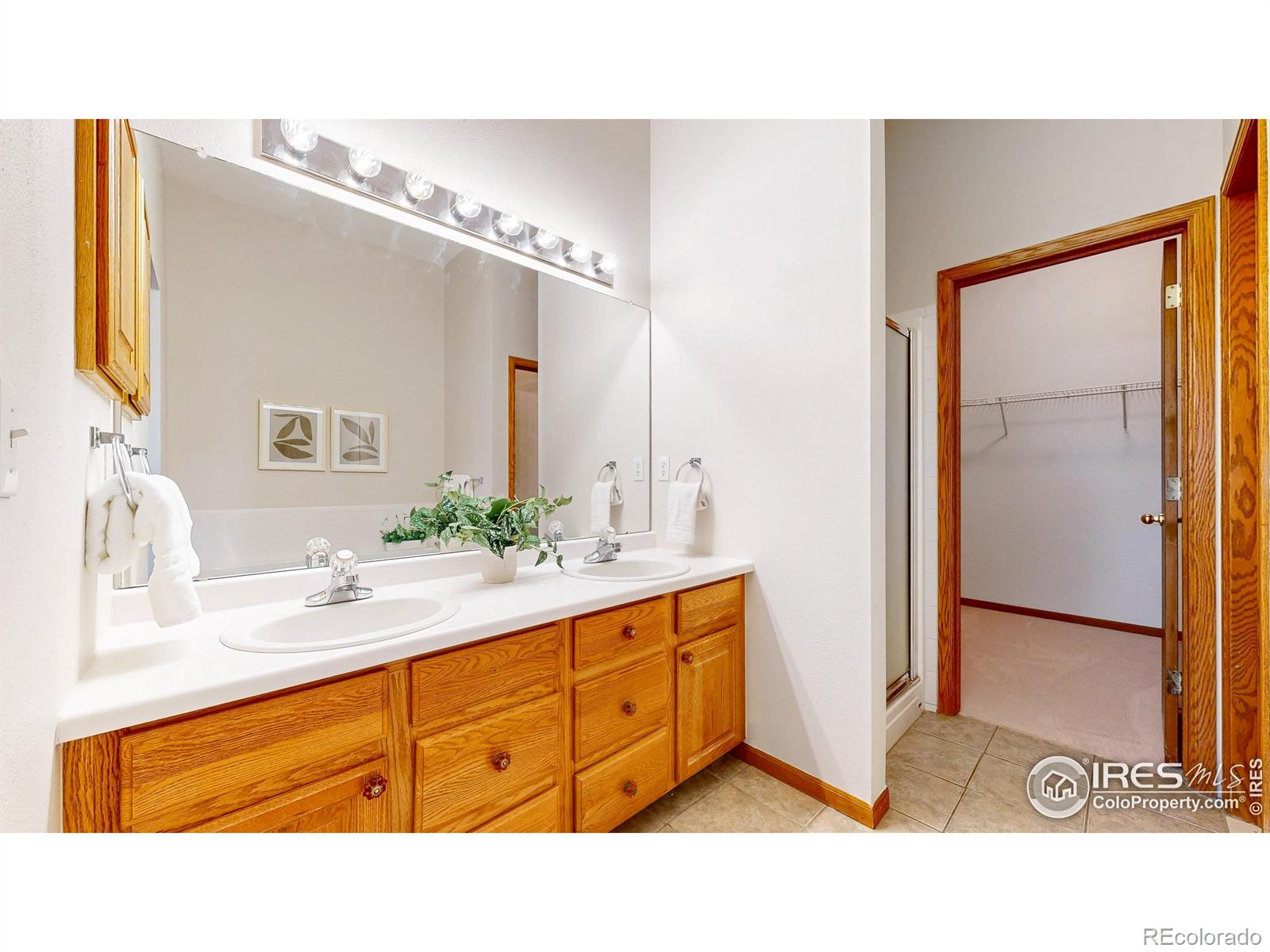 MLS Image #16 for 3508  silver trails drive,fort collins, Colorado