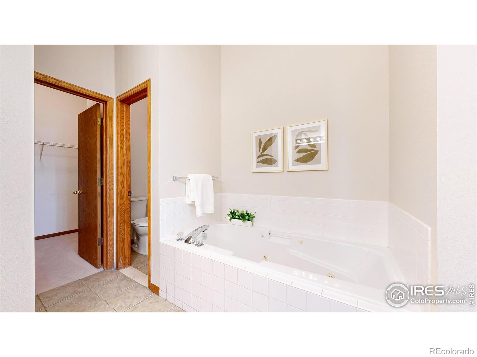 MLS Image #17 for 3508  silver trails drive,fort collins, Colorado