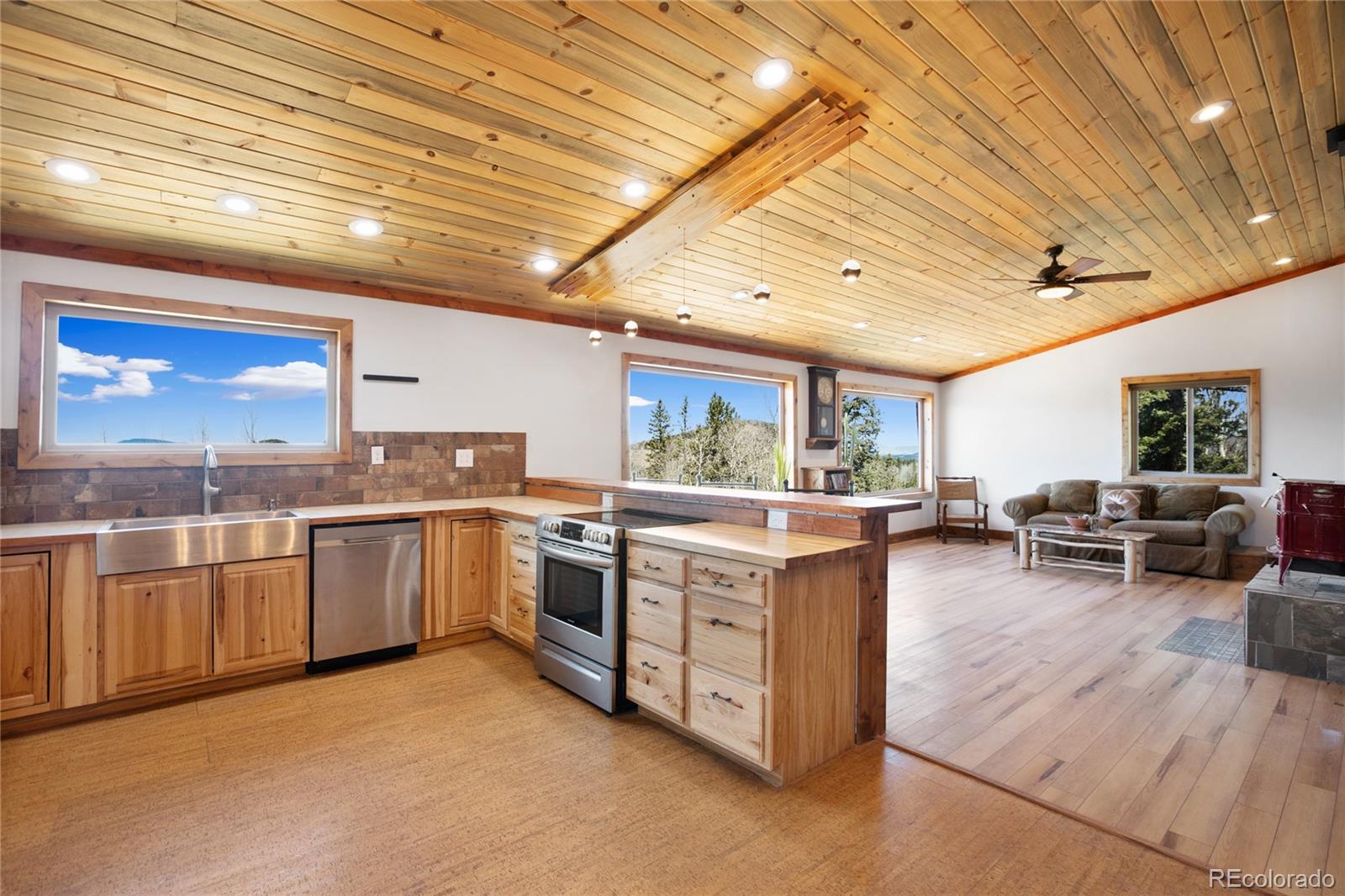 MLS Image #12 for 2747  county road 61 ,cripple creek, Colorado