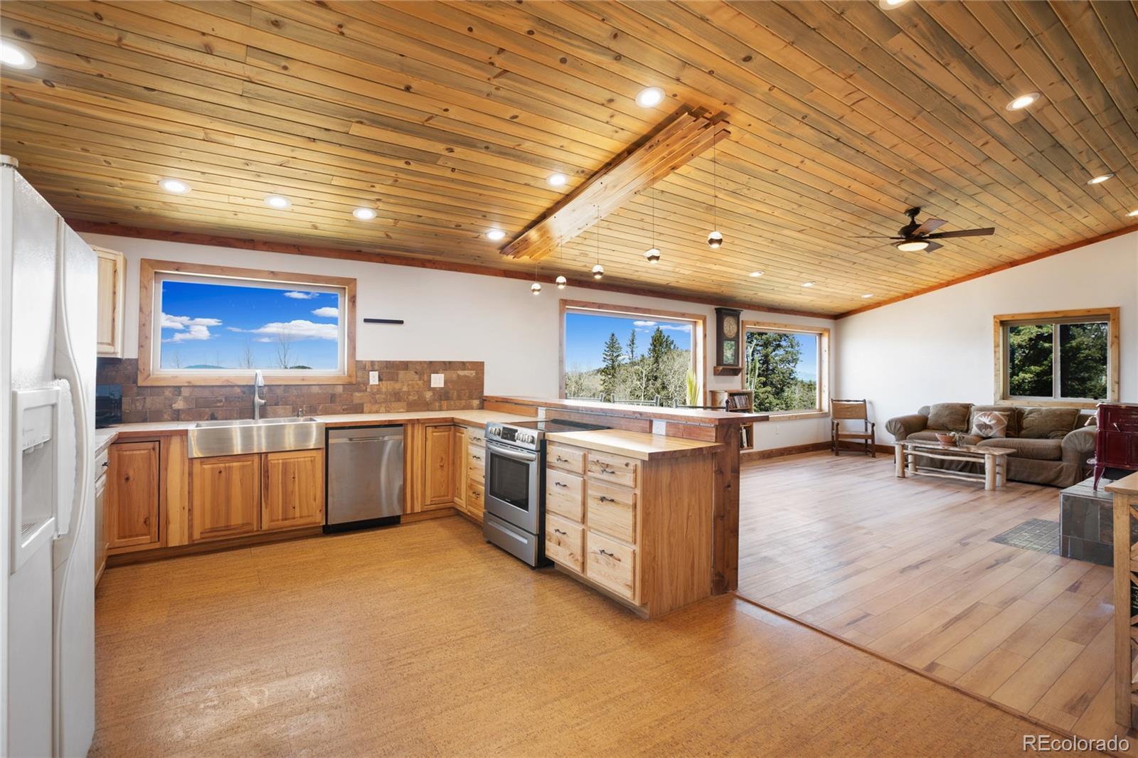 MLS Image #13 for 2747  county road 61 ,cripple creek, Colorado