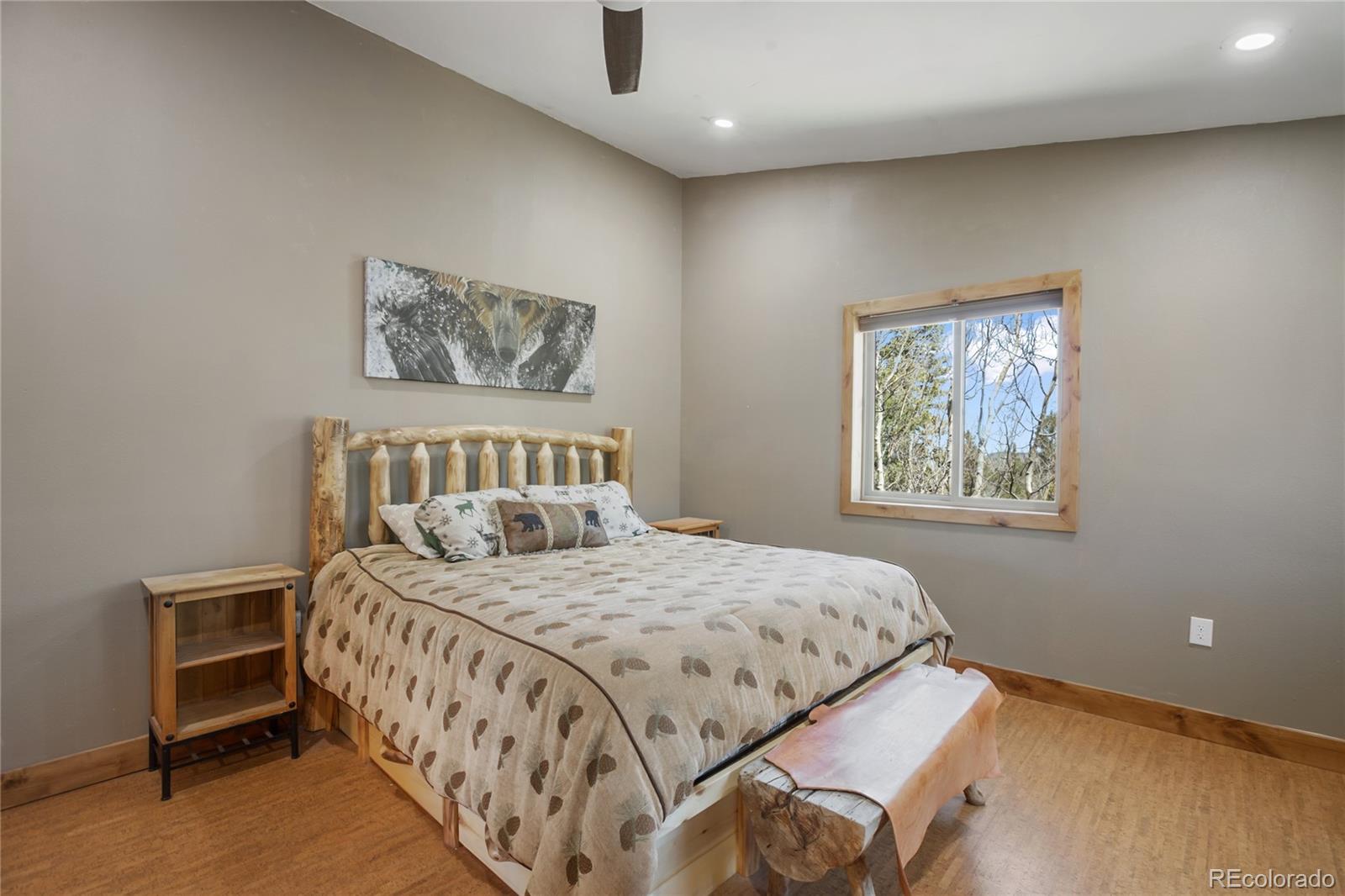MLS Image #21 for 2747  county road 61 ,cripple creek, Colorado