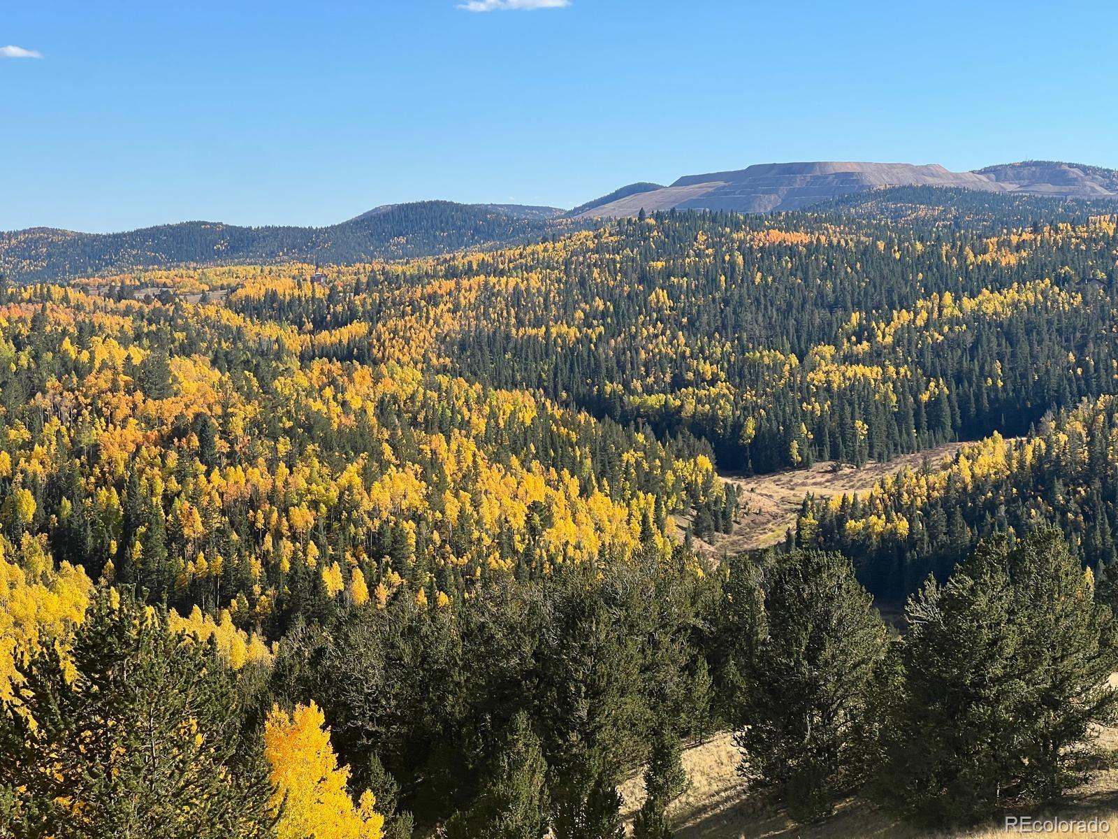 MLS Image #44 for 2747  county road 61 ,cripple creek, Colorado