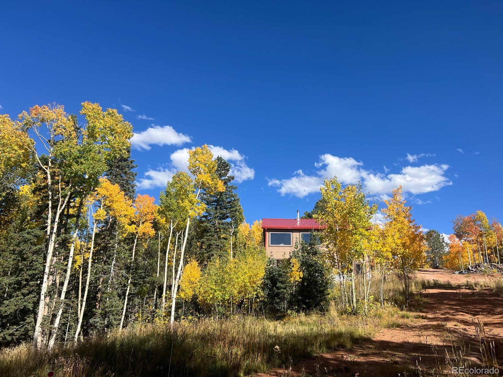 MLS Image #45 for 2747  county road 61 ,cripple creek, Colorado
