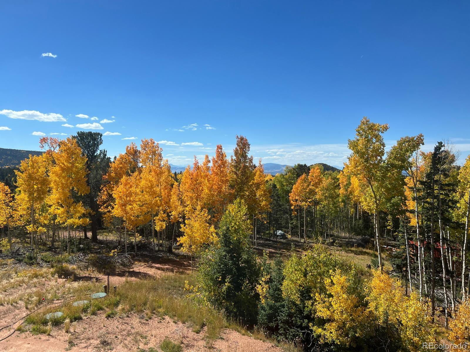 MLS Image #46 for 2747  county road 61 ,cripple creek, Colorado