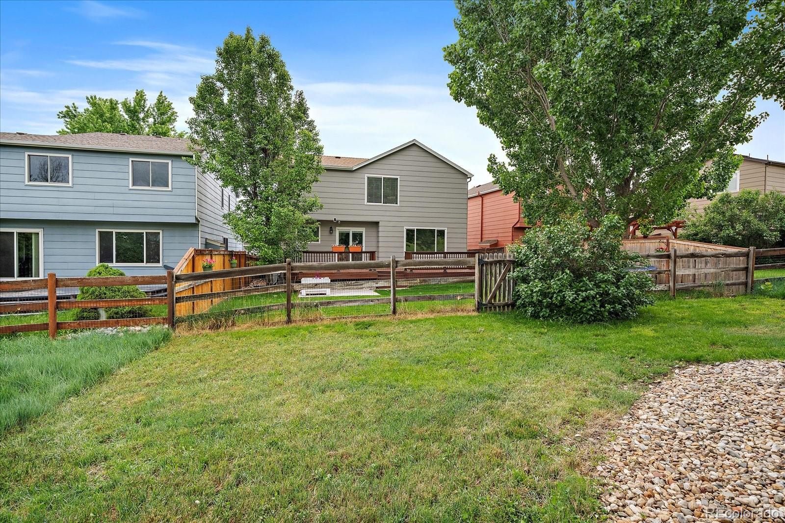 MLS Image #13 for 3528  morning glory drive,castle rock, Colorado