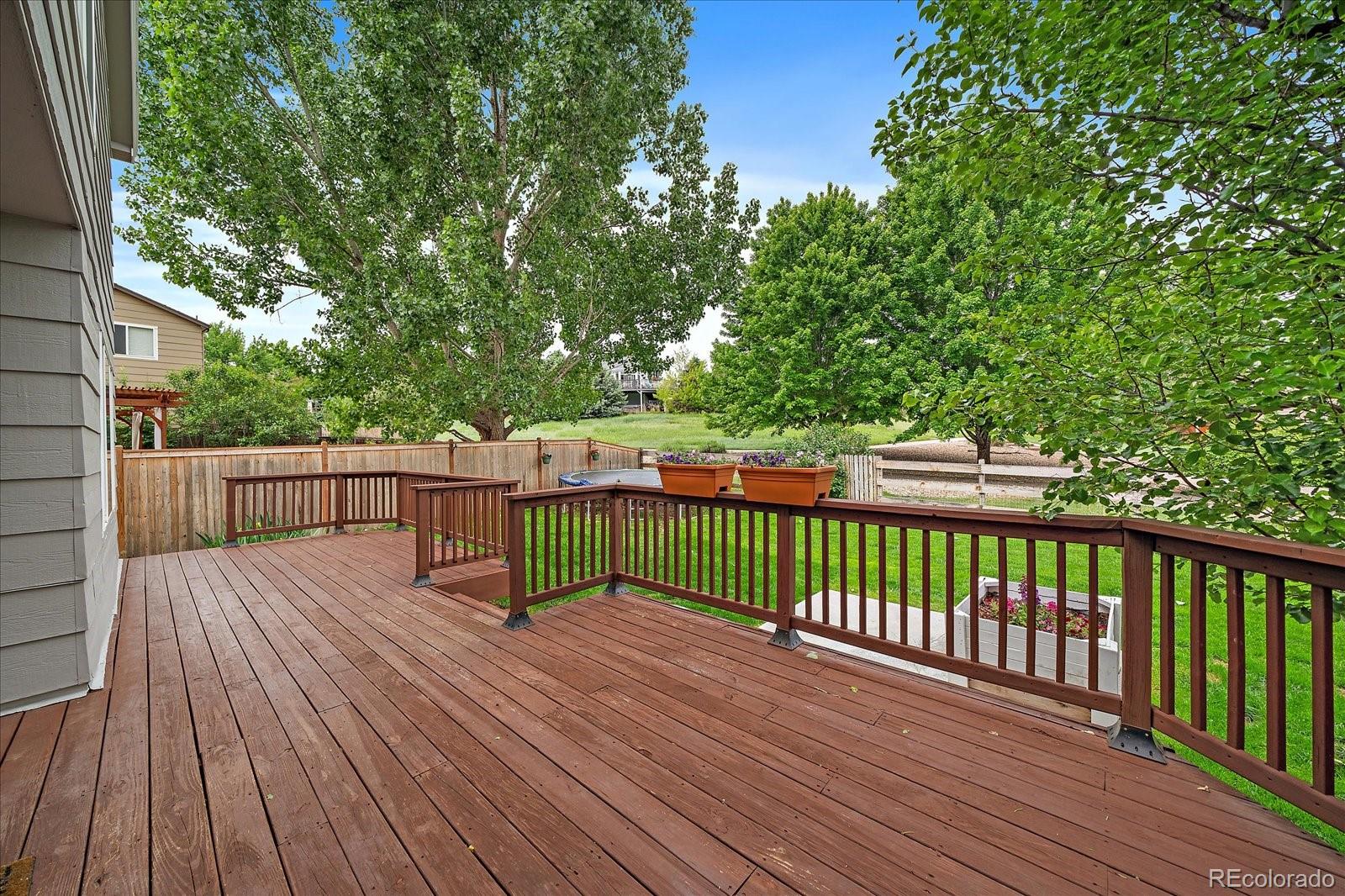 MLS Image #4 for 3528  morning glory drive,castle rock, Colorado