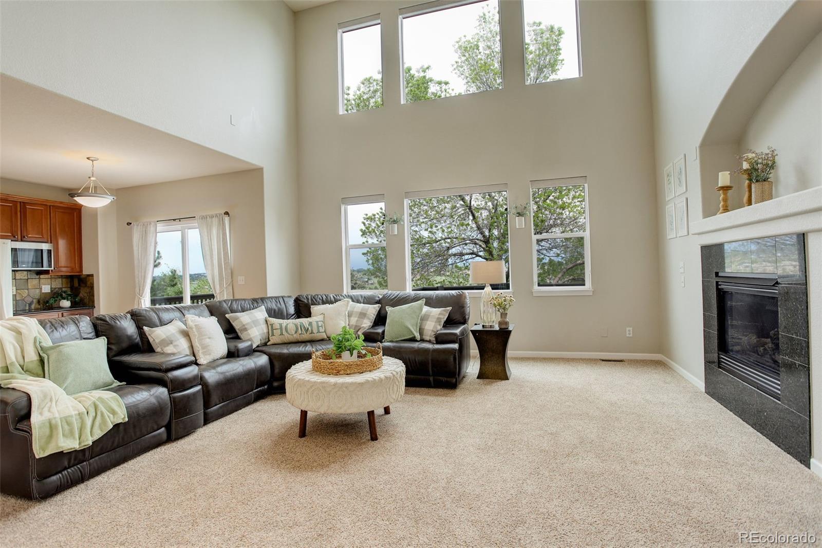 MLS Image #11 for 23427  song bird hills place,parker, Colorado