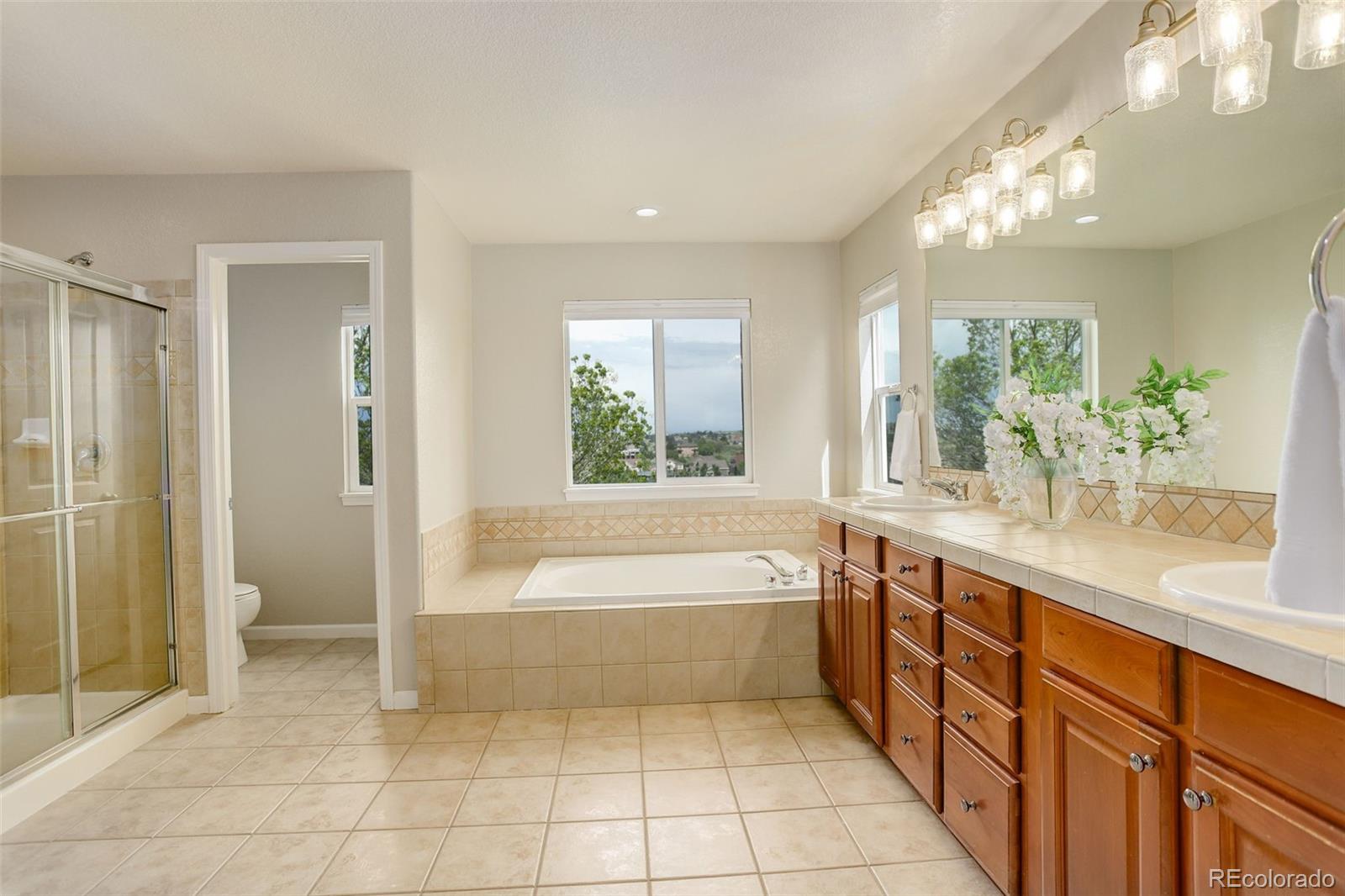 MLS Image #15 for 23427  song bird hills place,parker, Colorado