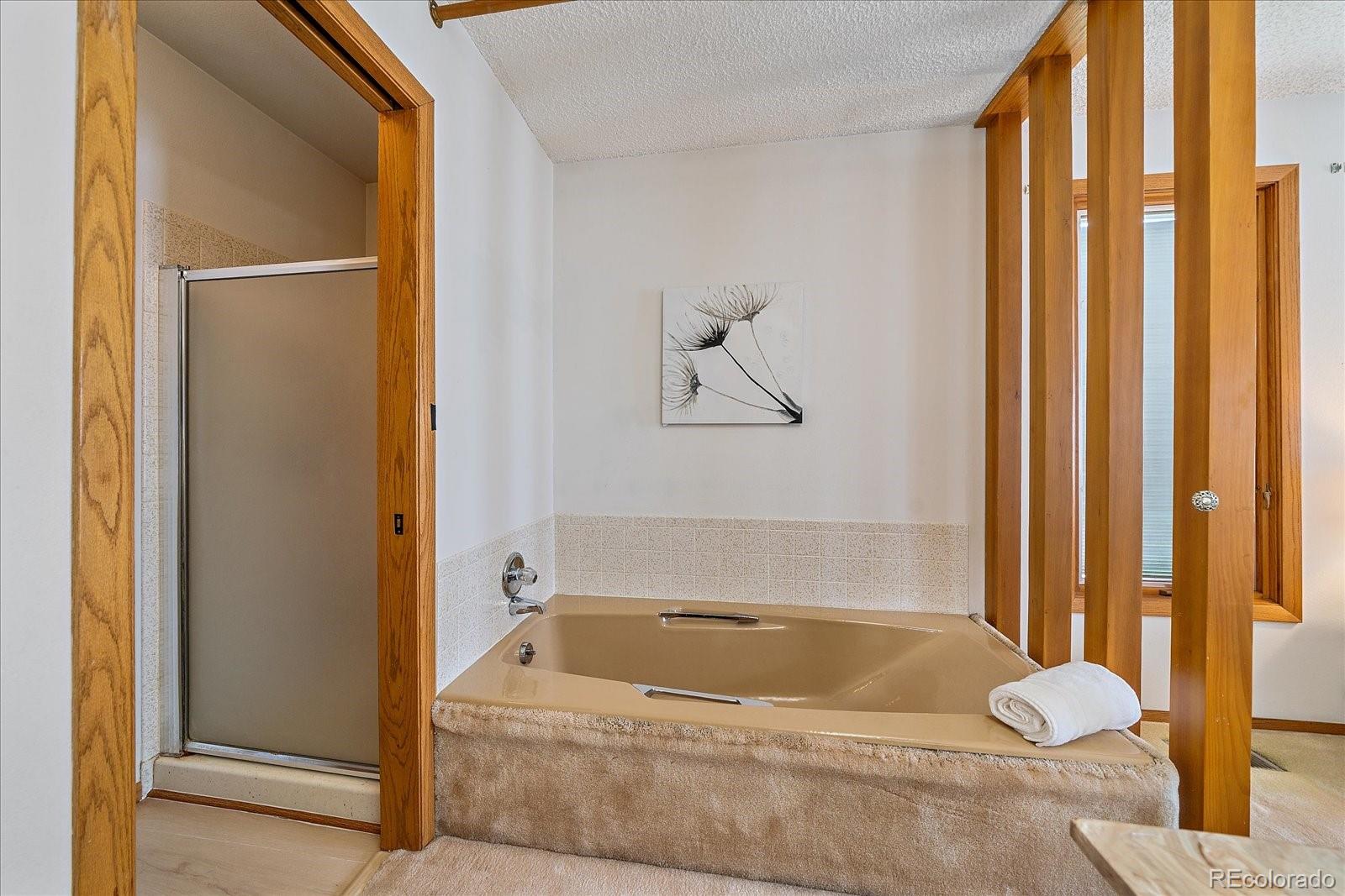 MLS Image #27 for 31  irene court,broomfield, Colorado