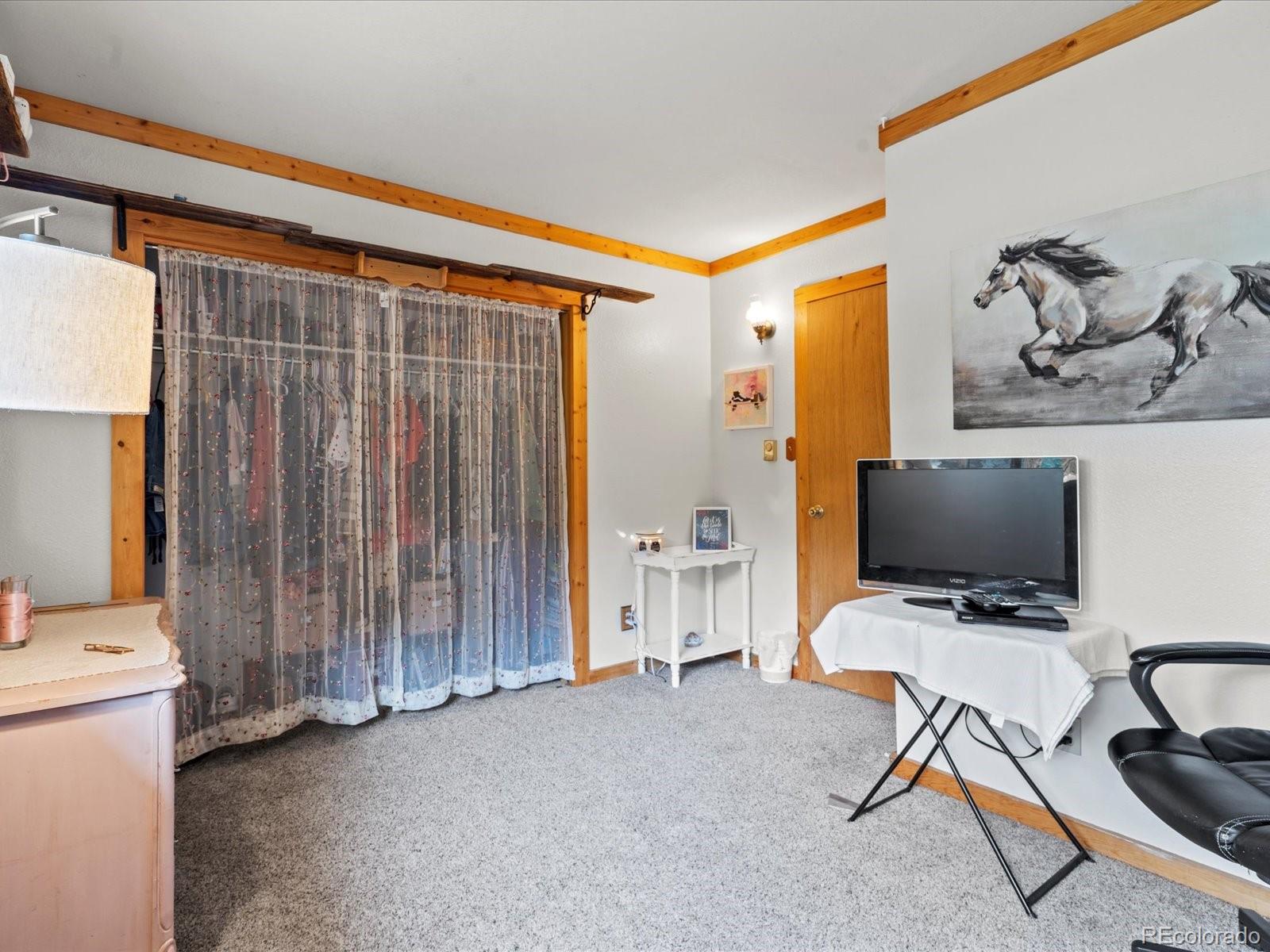 MLS Image #24 for 23963  highway 96 ,wetmore, Colorado