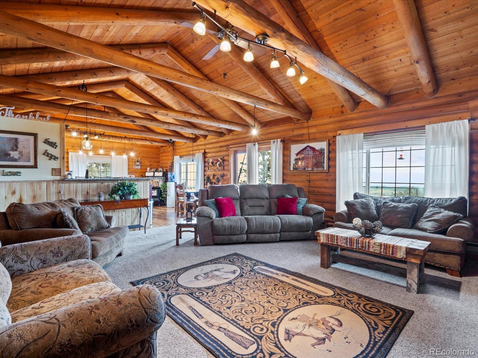 MLS Image #3 for 23963  highway 96 ,wetmore, Colorado