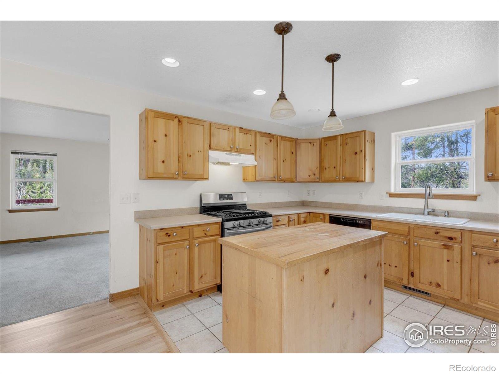 MLS Image #10 for 65  la chula road,black hawk, Colorado