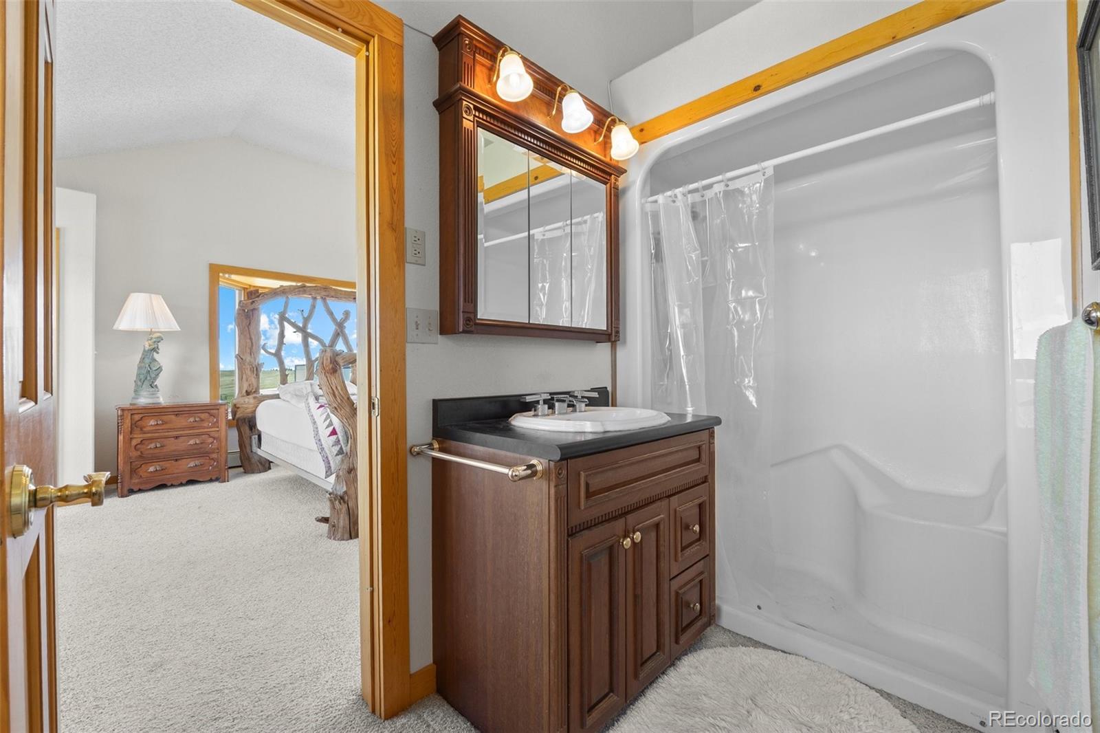 MLS Image #17 for 30999  kootney street,elizabeth, Colorado