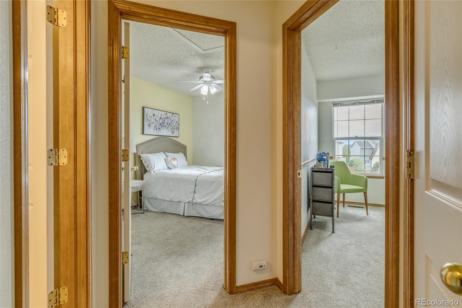 MLS Image #20 for 6041  pioneer mesa drive,colorado springs, Colorado