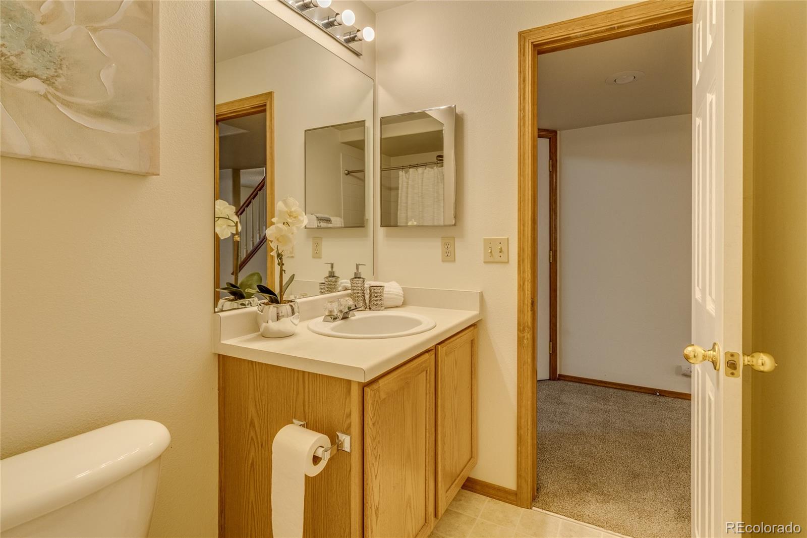 MLS Image #40 for 6041  pioneer mesa drive,colorado springs, Colorado