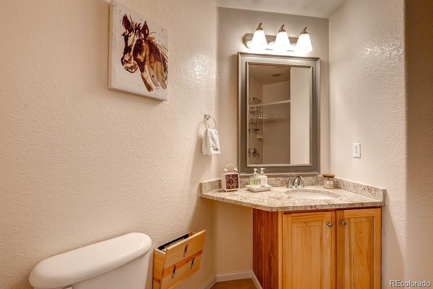 MLS Image #12 for 20341 e 48th place,denver, Colorado