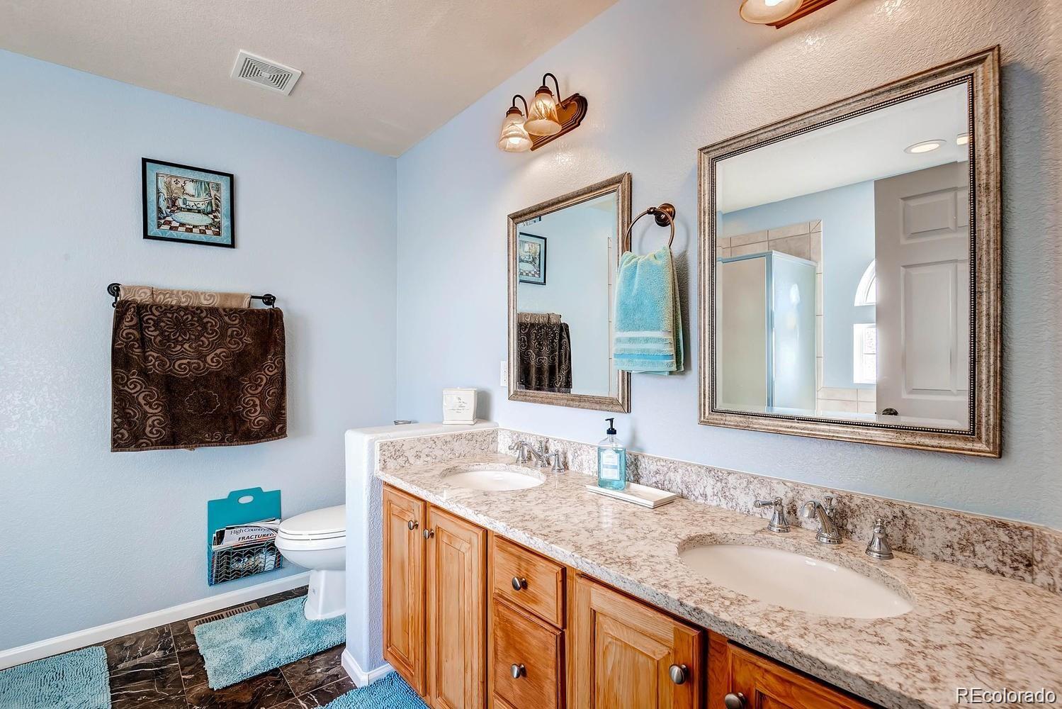 MLS Image #16 for 20341 e 48th place,denver, Colorado