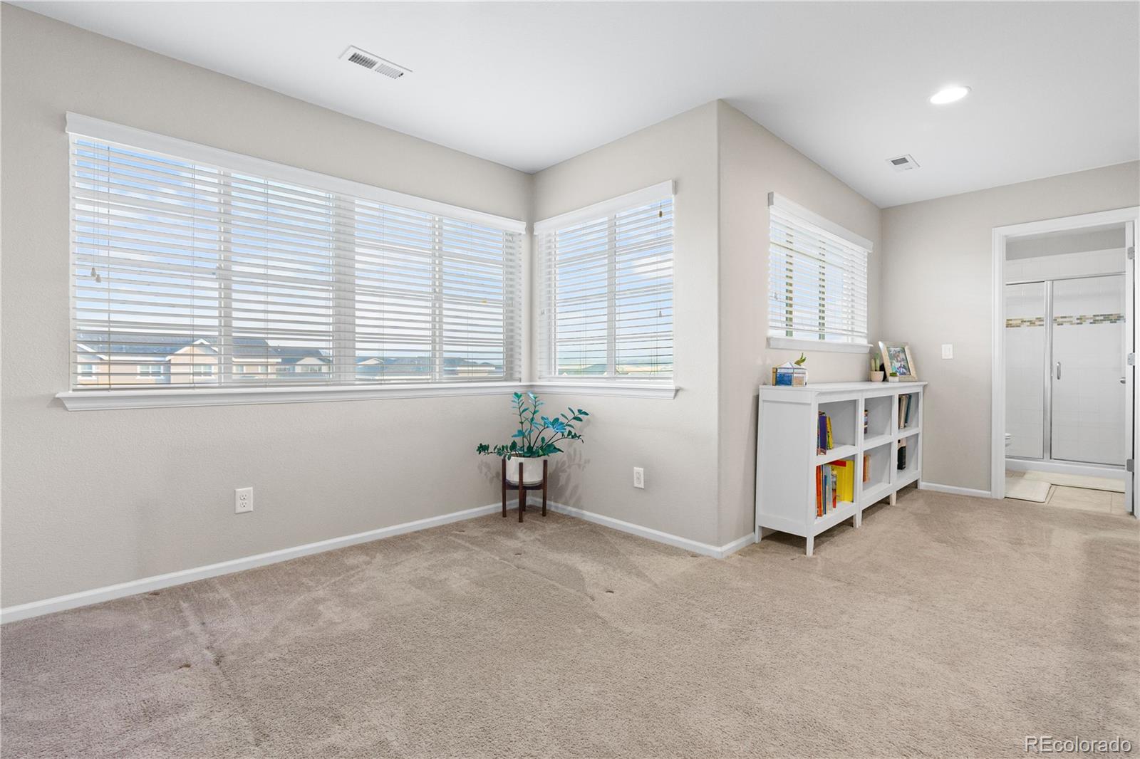 MLS Image #20 for 4145  manorbrier circle,castle rock, Colorado