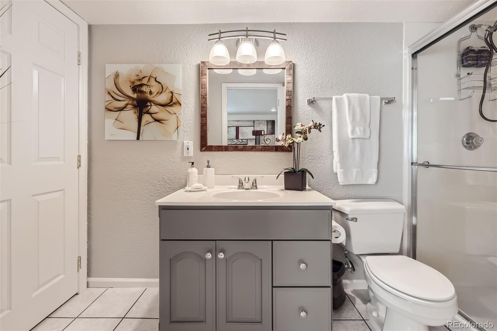 MLS Image #19 for 1382  braewood avenue,highlands ranch, Colorado