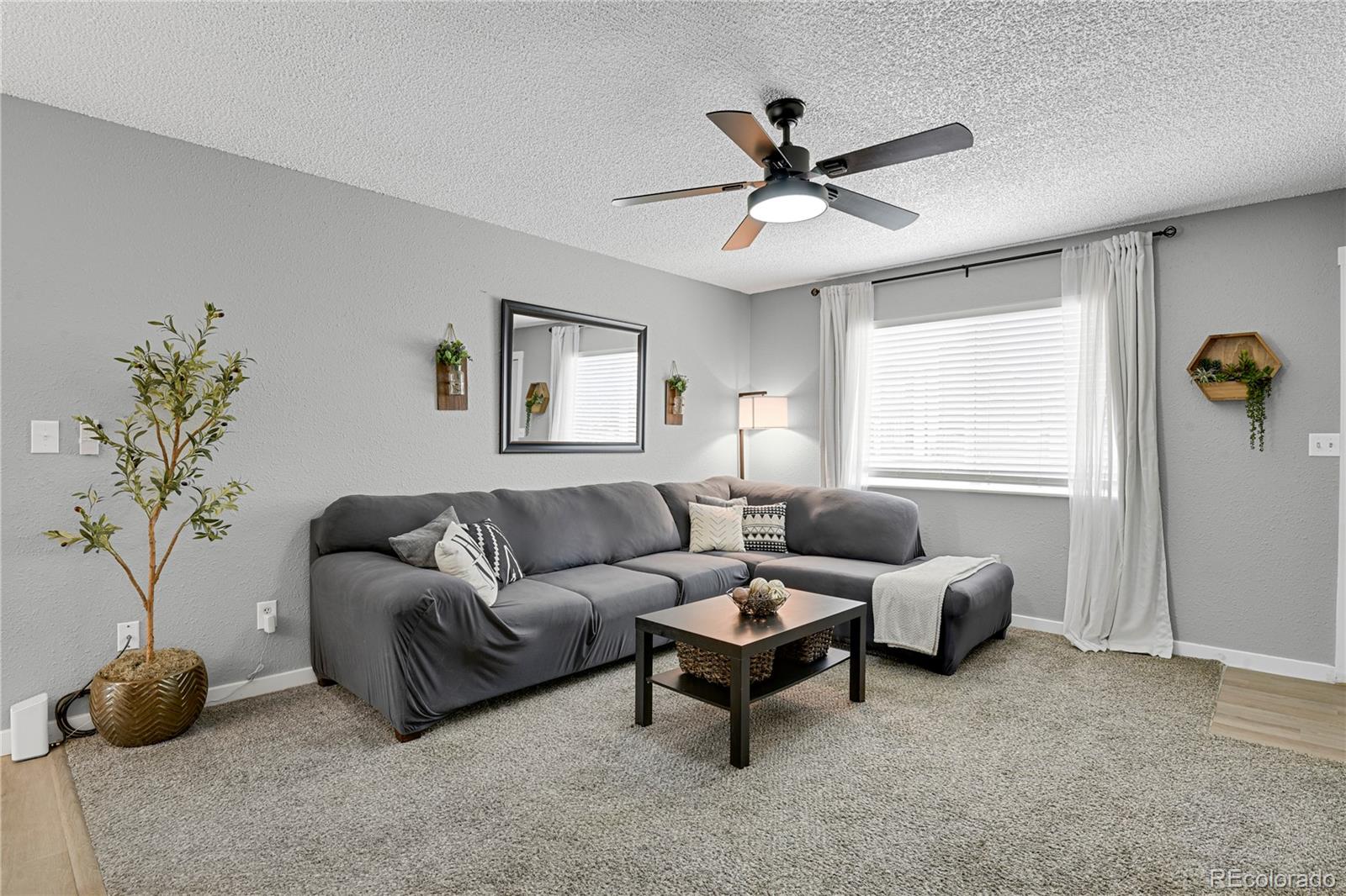 CMA Image for 2185  Ambleside Drive,Colorado Springs, Colorado