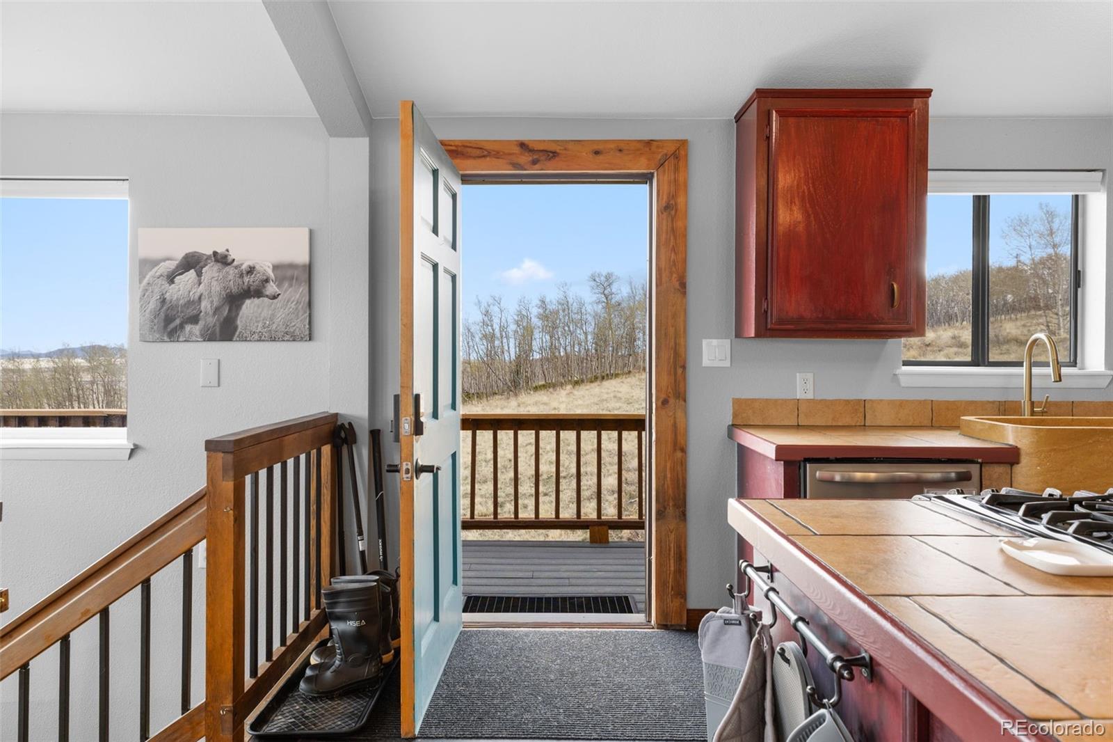 MLS Image #4 for 2349  michigan hill road,jefferson, Colorado