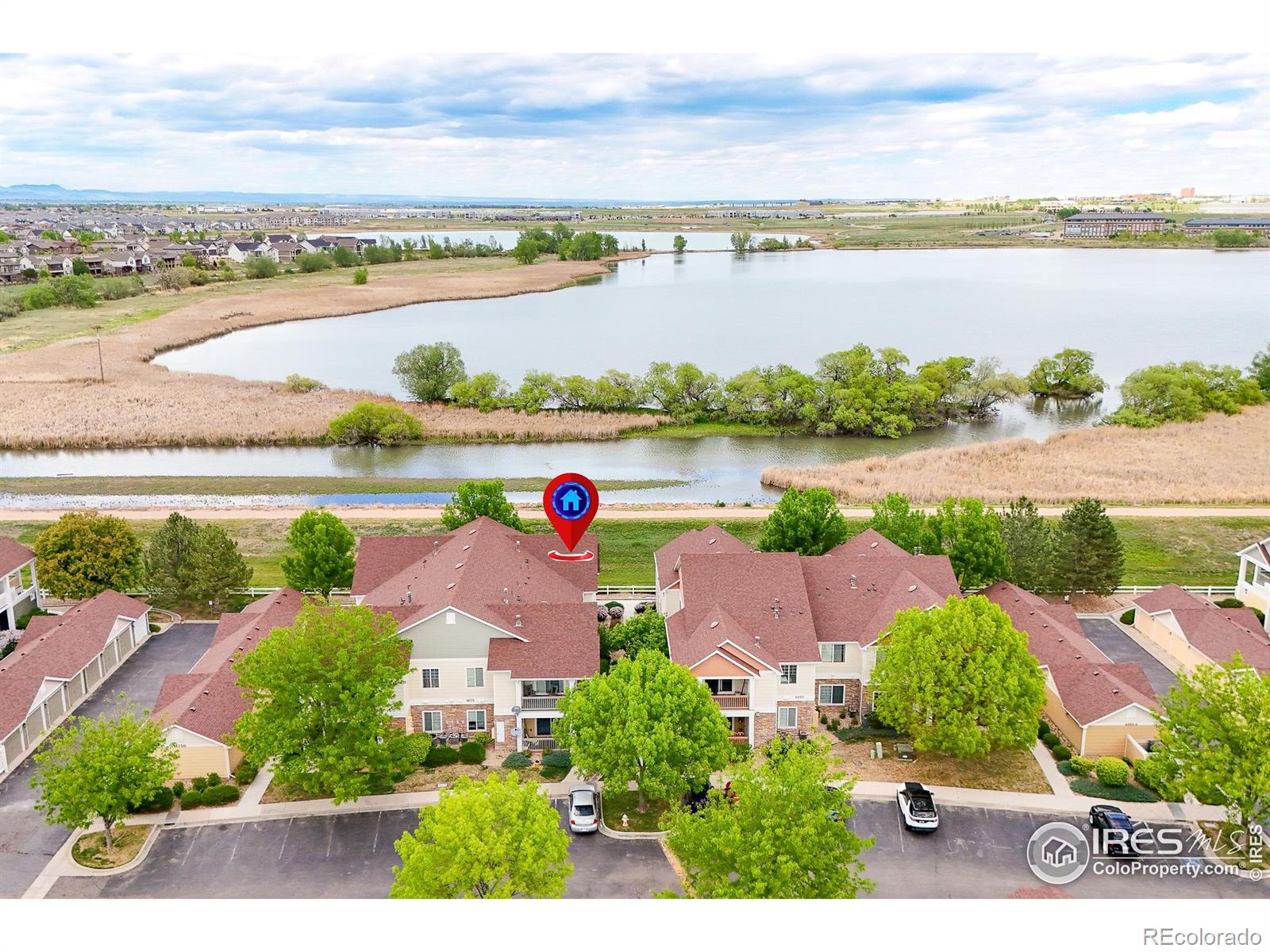 MLS Image #5 for 4675  hahns peak drive,loveland, Colorado