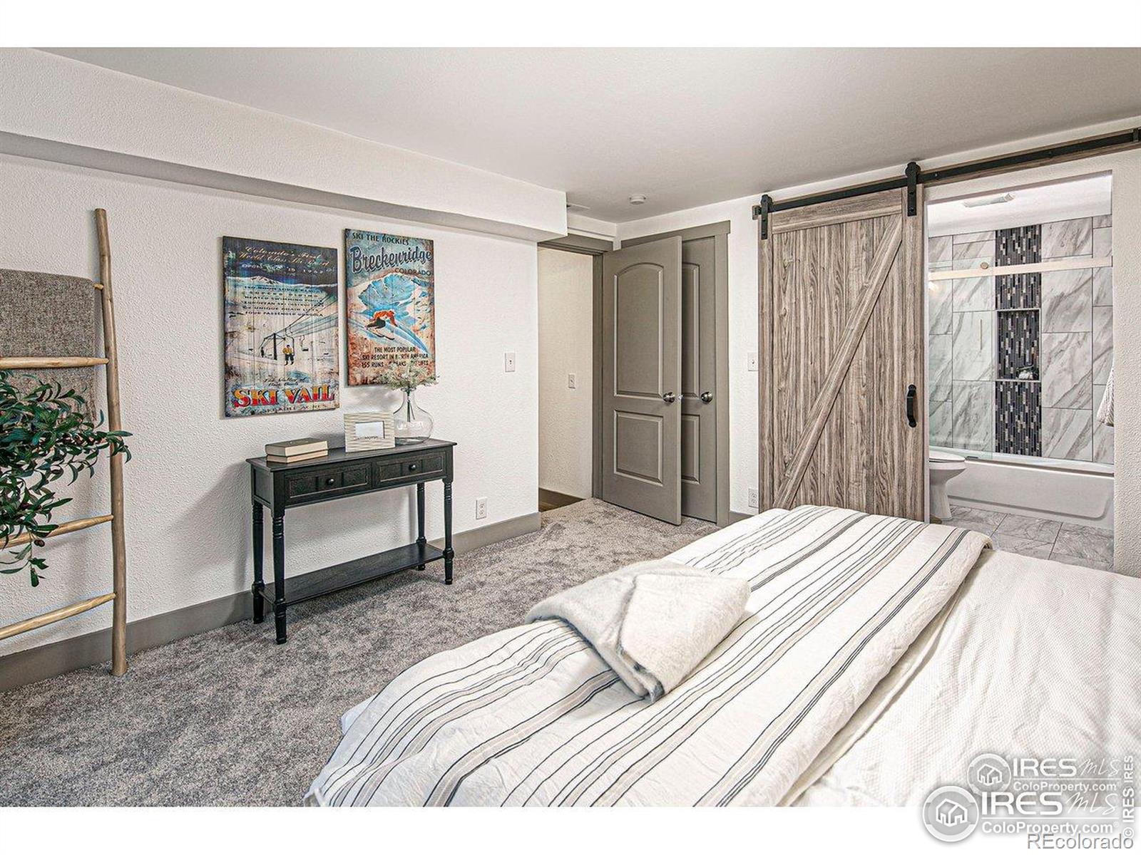 MLS Image #14 for 527 s bryan avenue,fort collins, Colorado