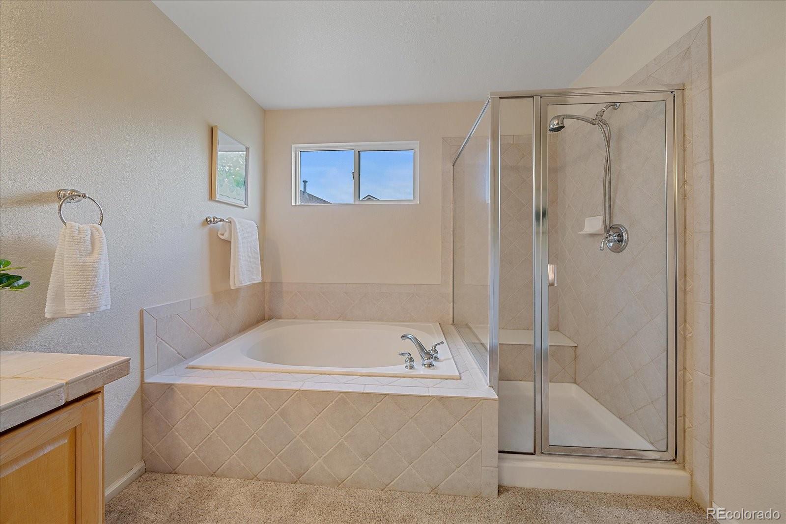 MLS Image #21 for 11150  night heron drive,parker, Colorado