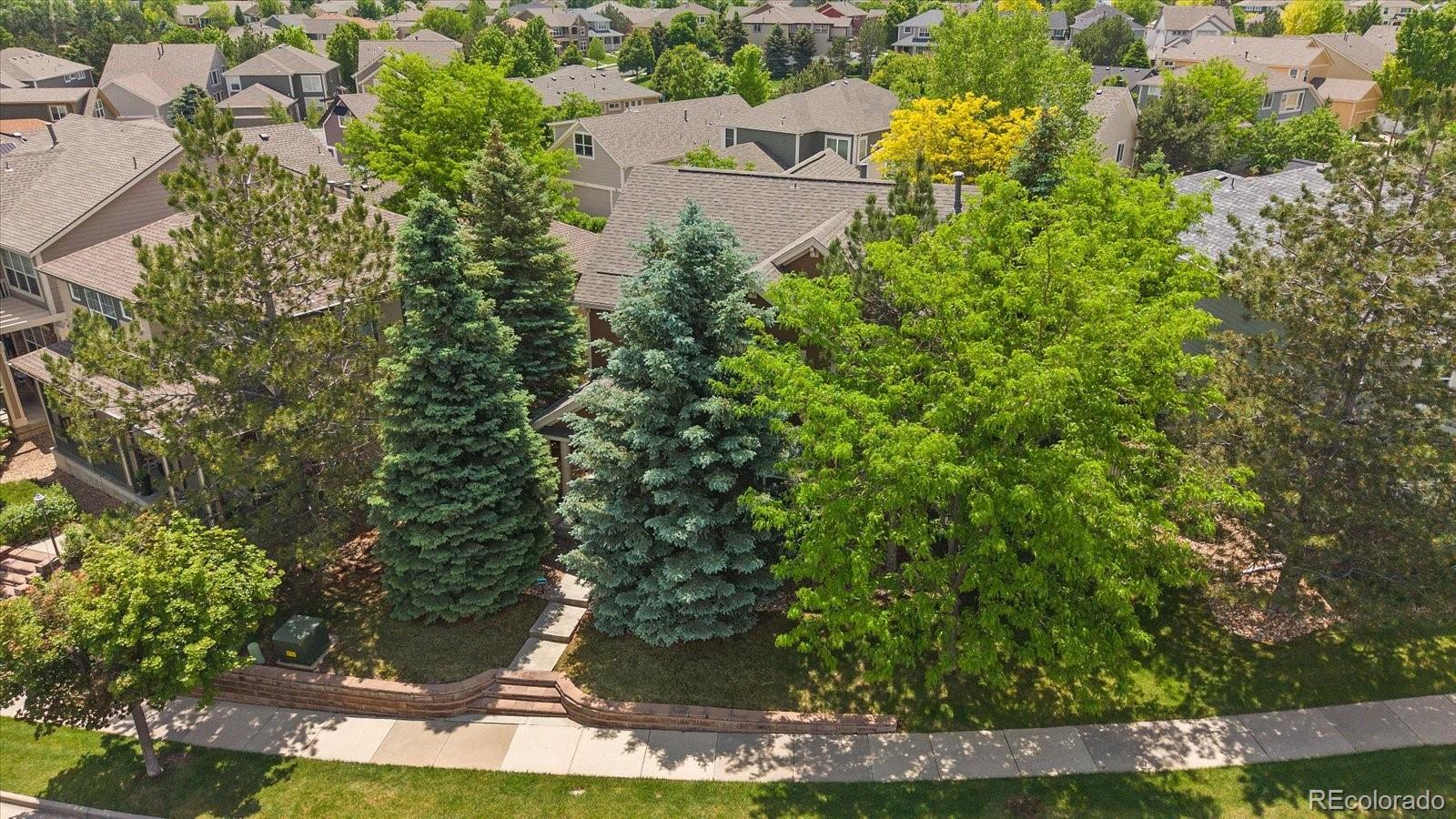 MLS Image #35 for 11150  night heron drive,parker, Colorado
