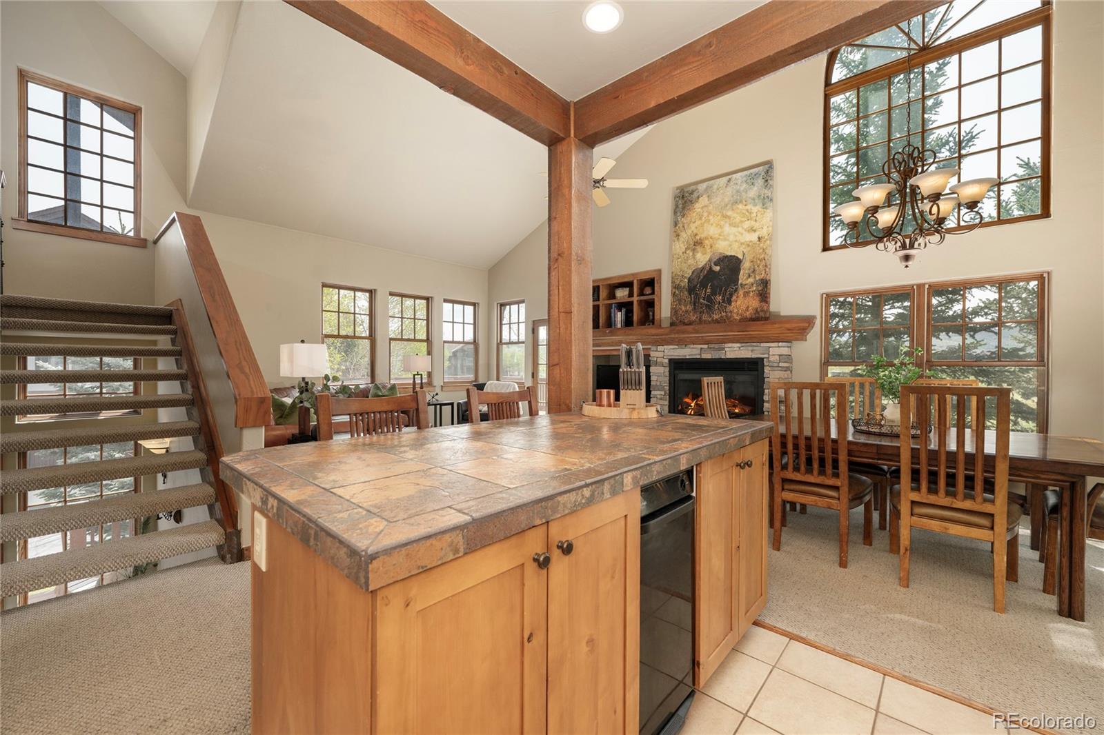 MLS Image #10 for 798  ten mile drive,granby, Colorado