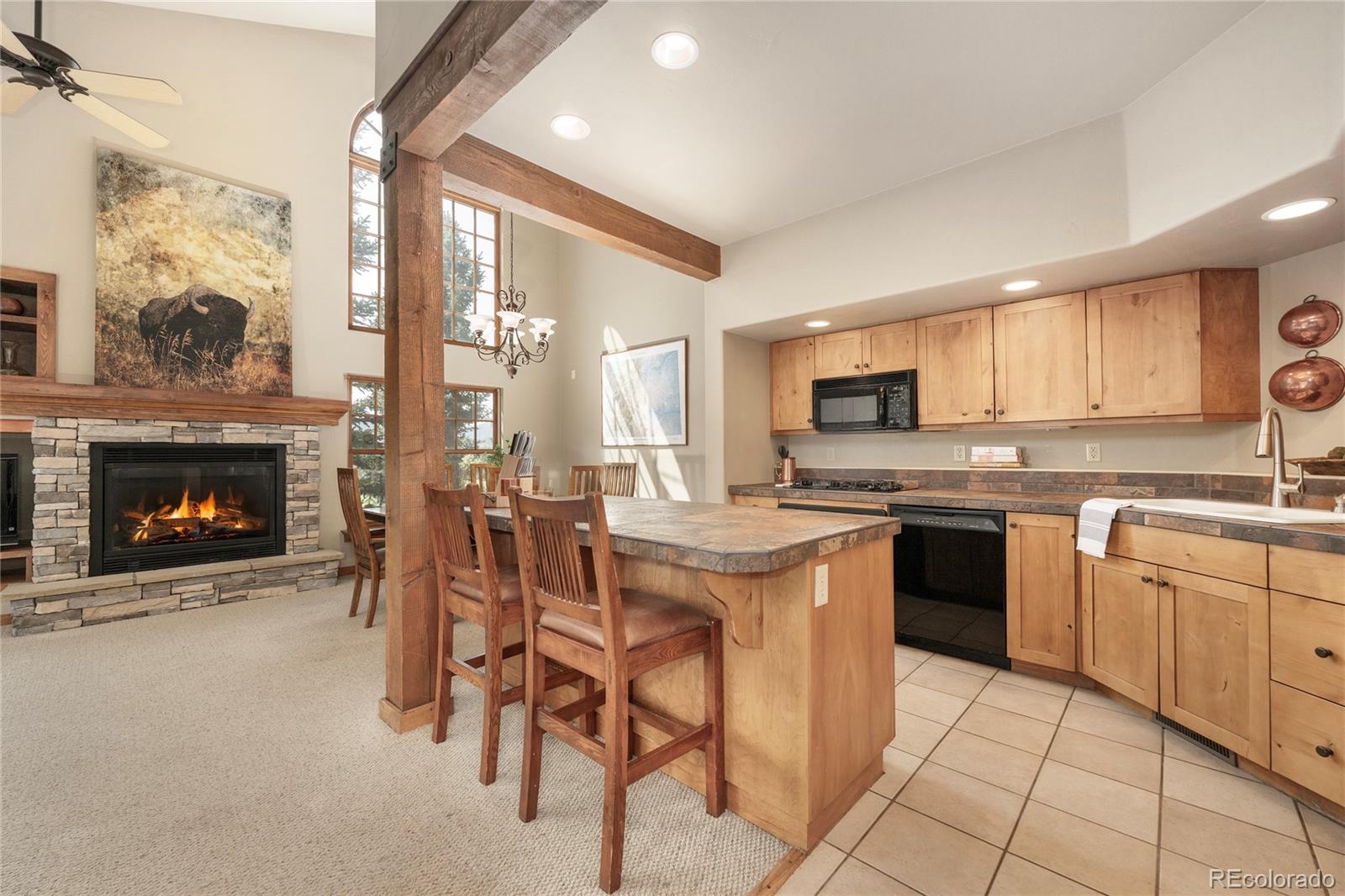 MLS Image #8 for 798  ten mile drive,granby, Colorado