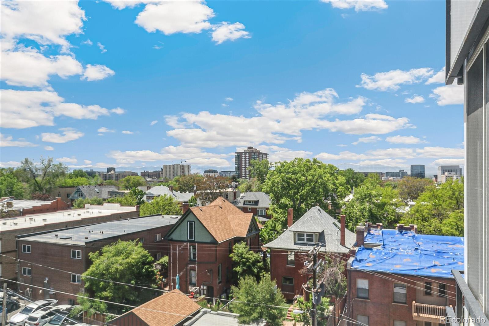 MLS Image #13 for 1255 n ogden street,denver, Colorado