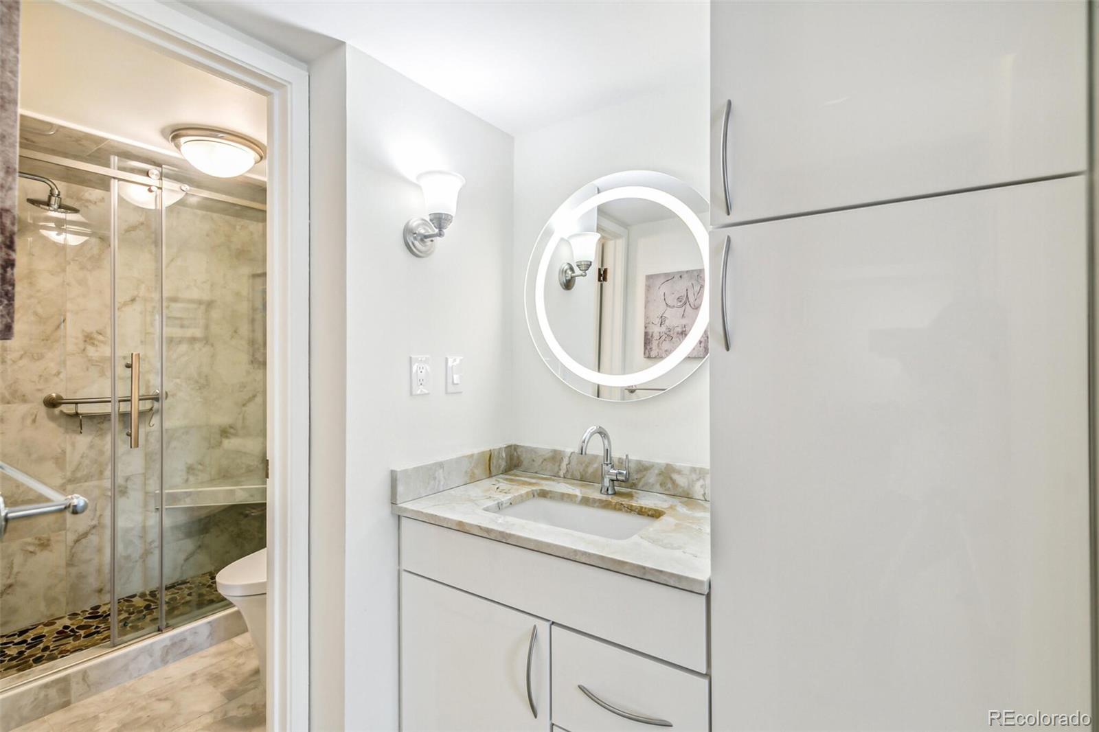 MLS Image #15 for 1255 n ogden street,denver, Colorado