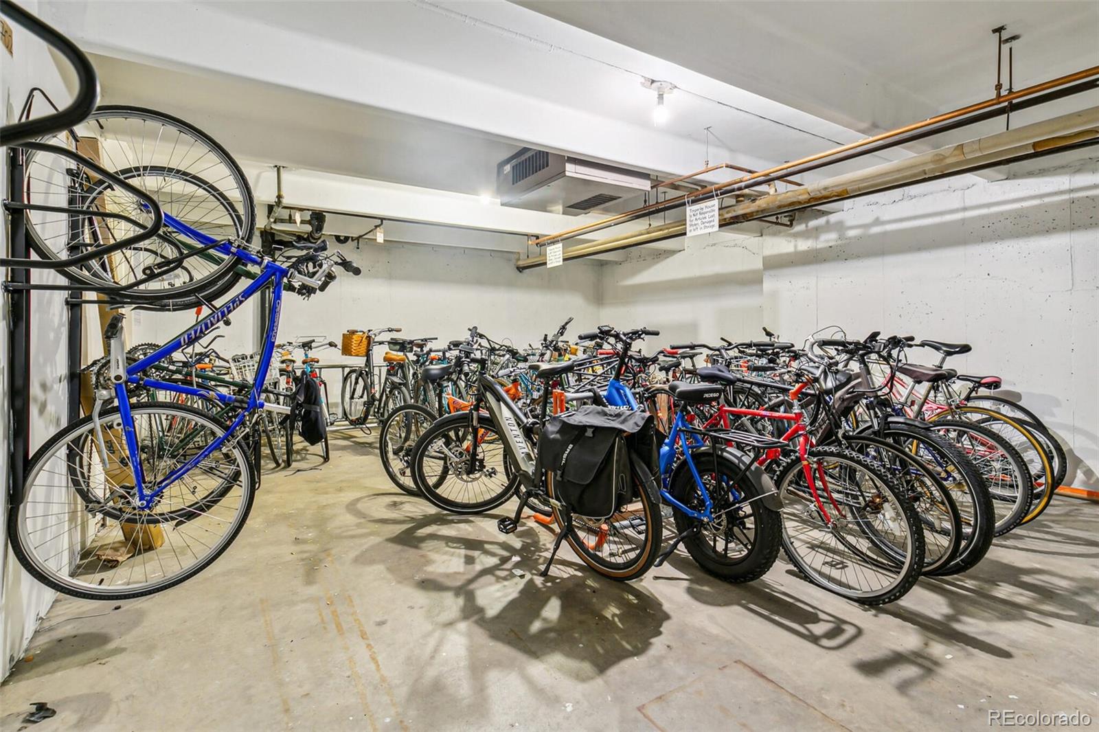 MLS Image #17 for 1255 n ogden street,denver, Colorado