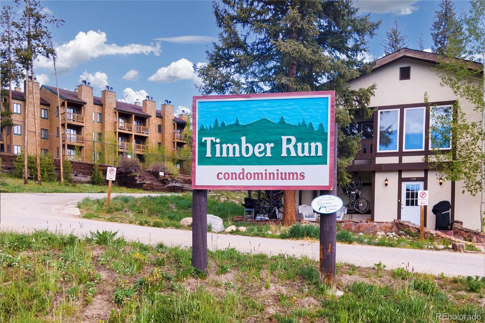 MLS Image #22 for 143  forest trail,winter park, Colorado
