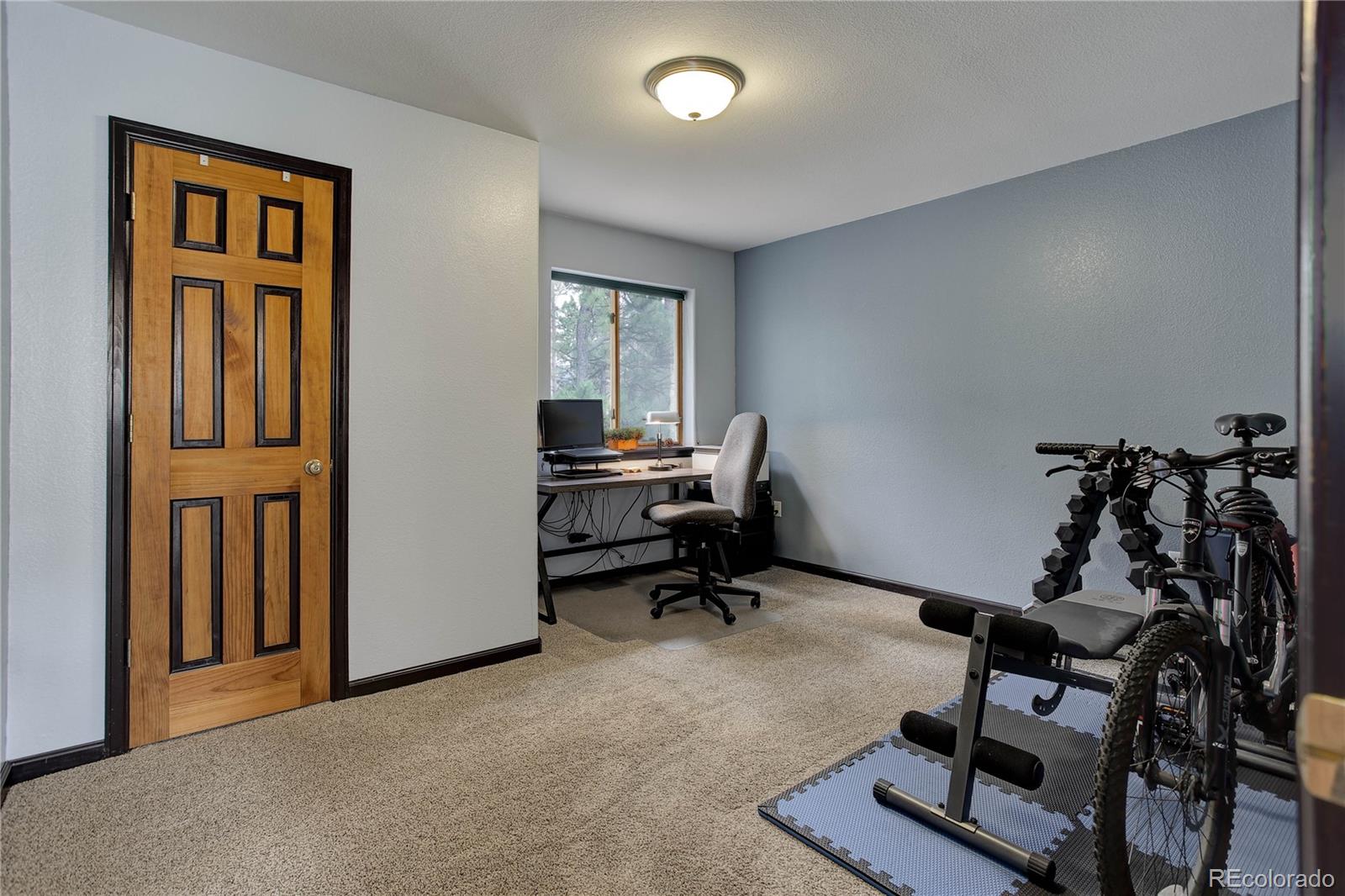 MLS Image #10 for 234  bailey drive,bailey, Colorado