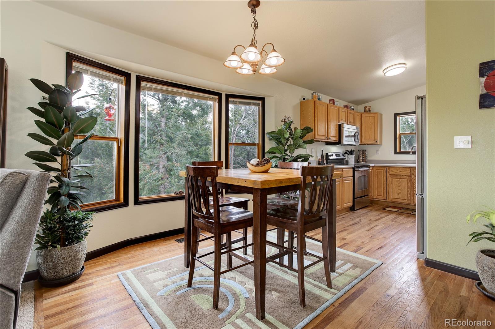 MLS Image #4 for 234  bailey drive,bailey, Colorado