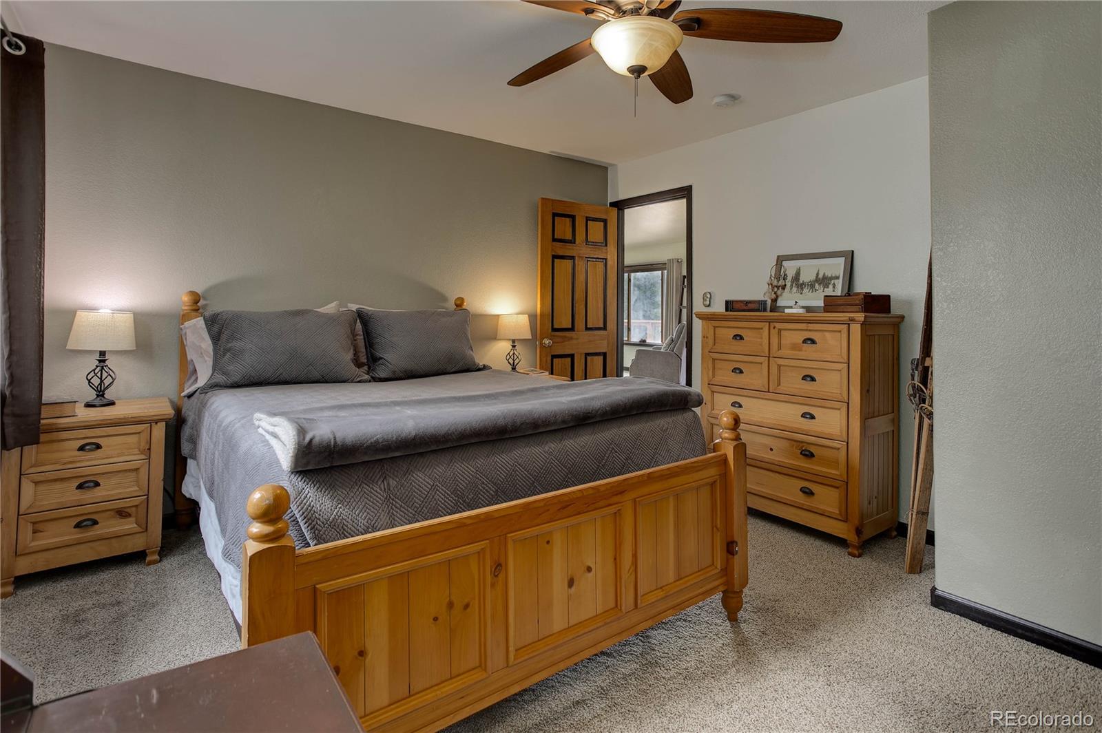 MLS Image #9 for 234  bailey drive,bailey, Colorado