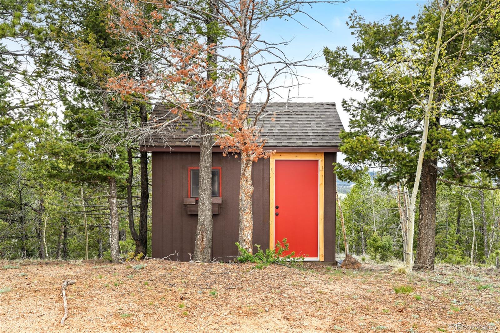 MLS Image #13 for 359  klitowya trail,woodland park, Colorado